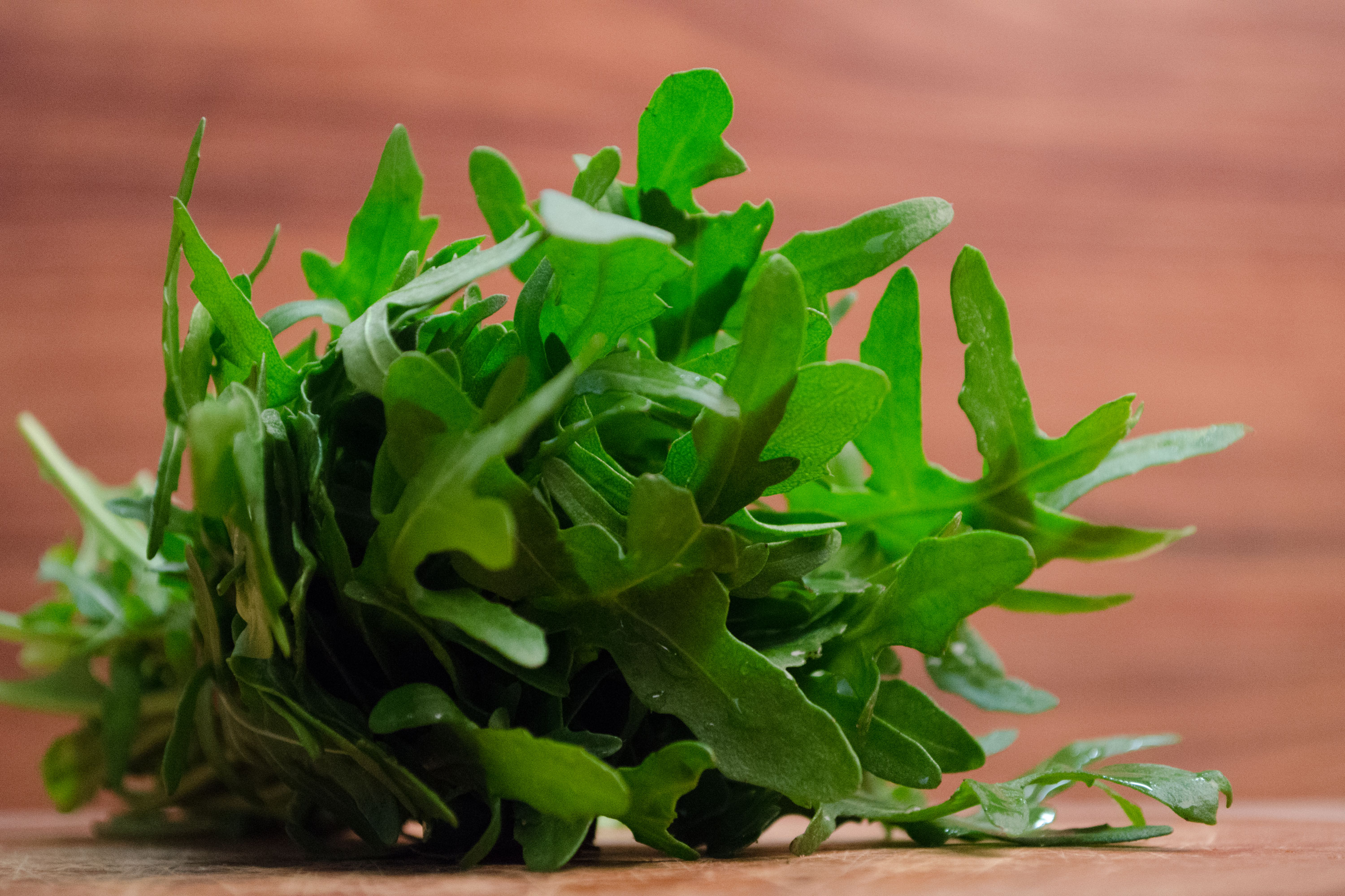 Ruccola schale