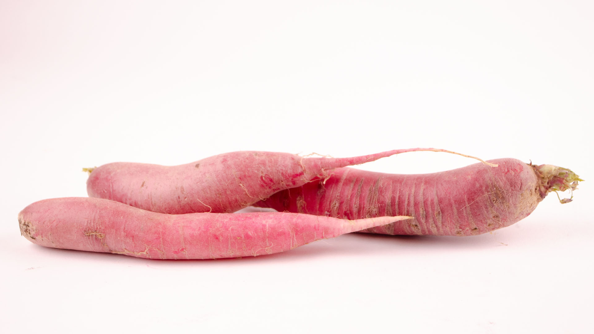 bio-rettich-rot