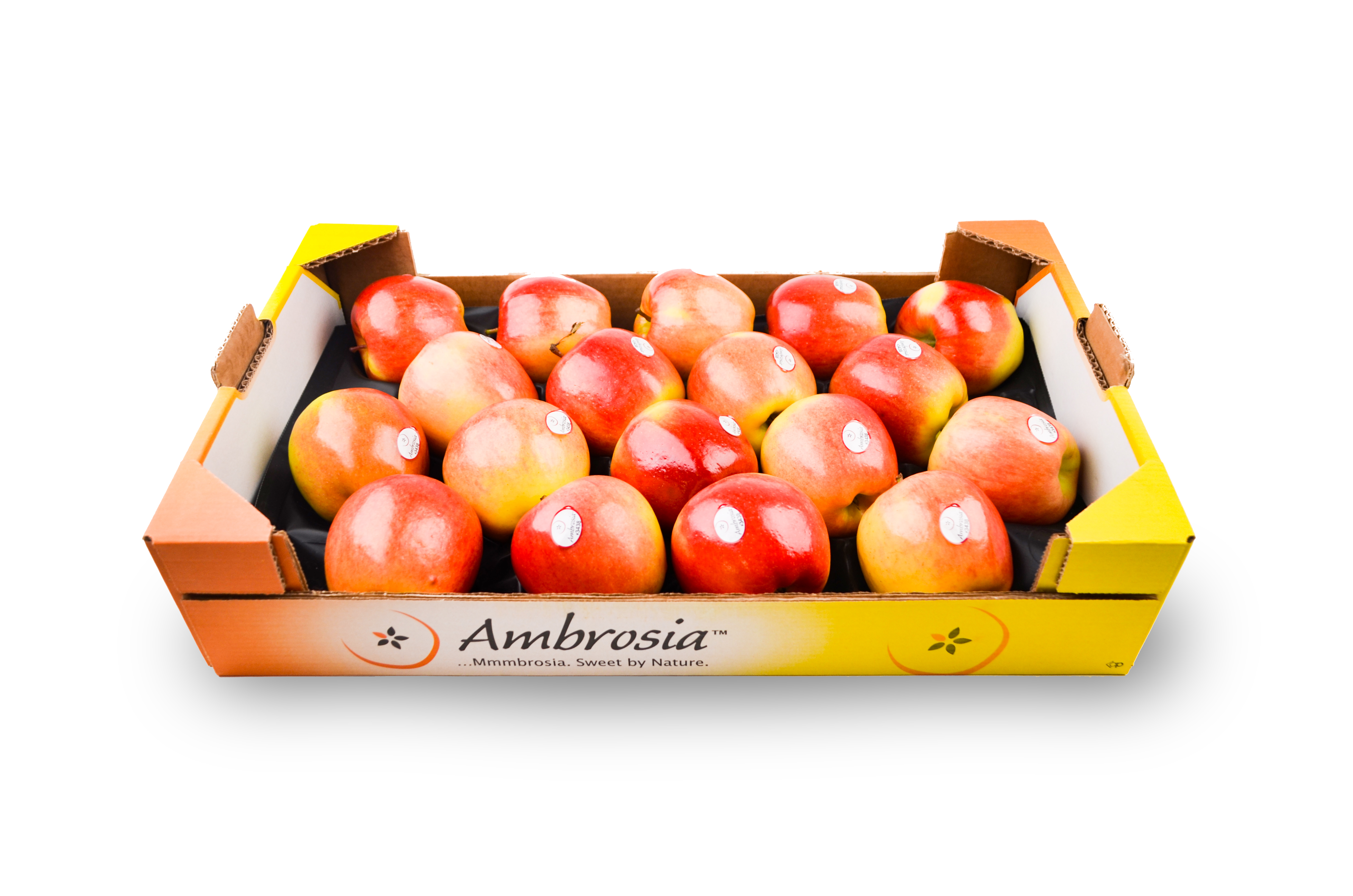 Apfel Ambrosia