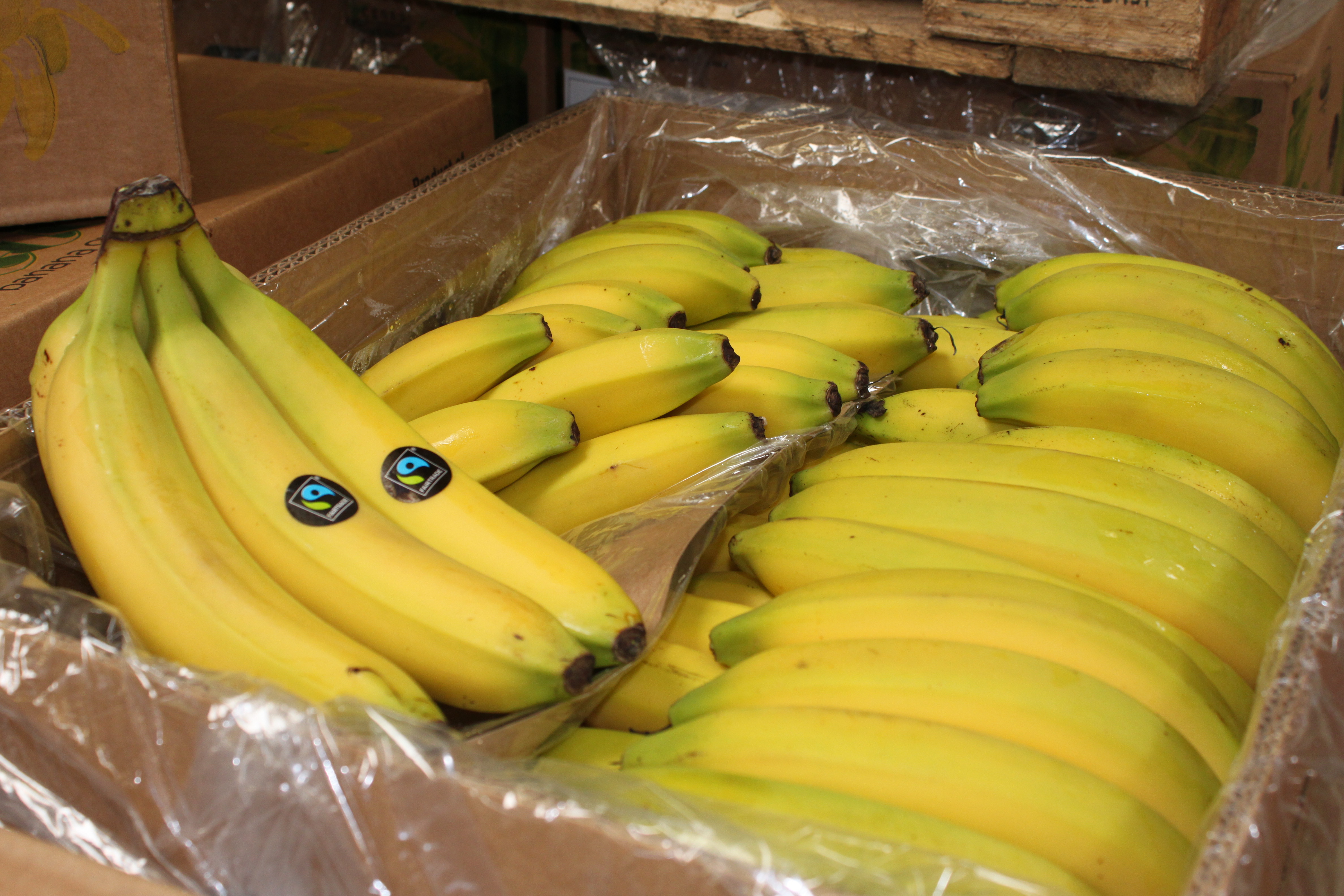 Bio Banane Fairtrade