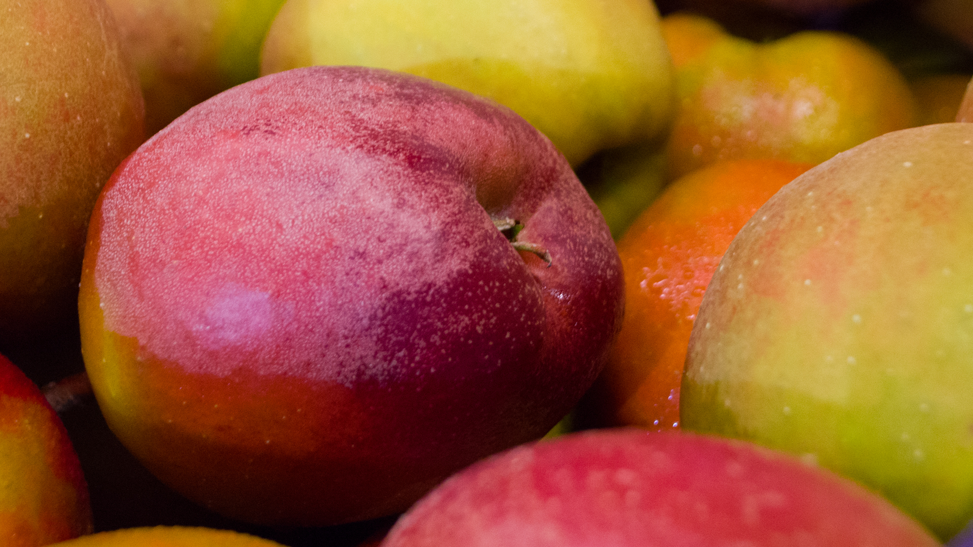 apfel-boskop-kiste-deutschland Bio Apfel Boskop rot