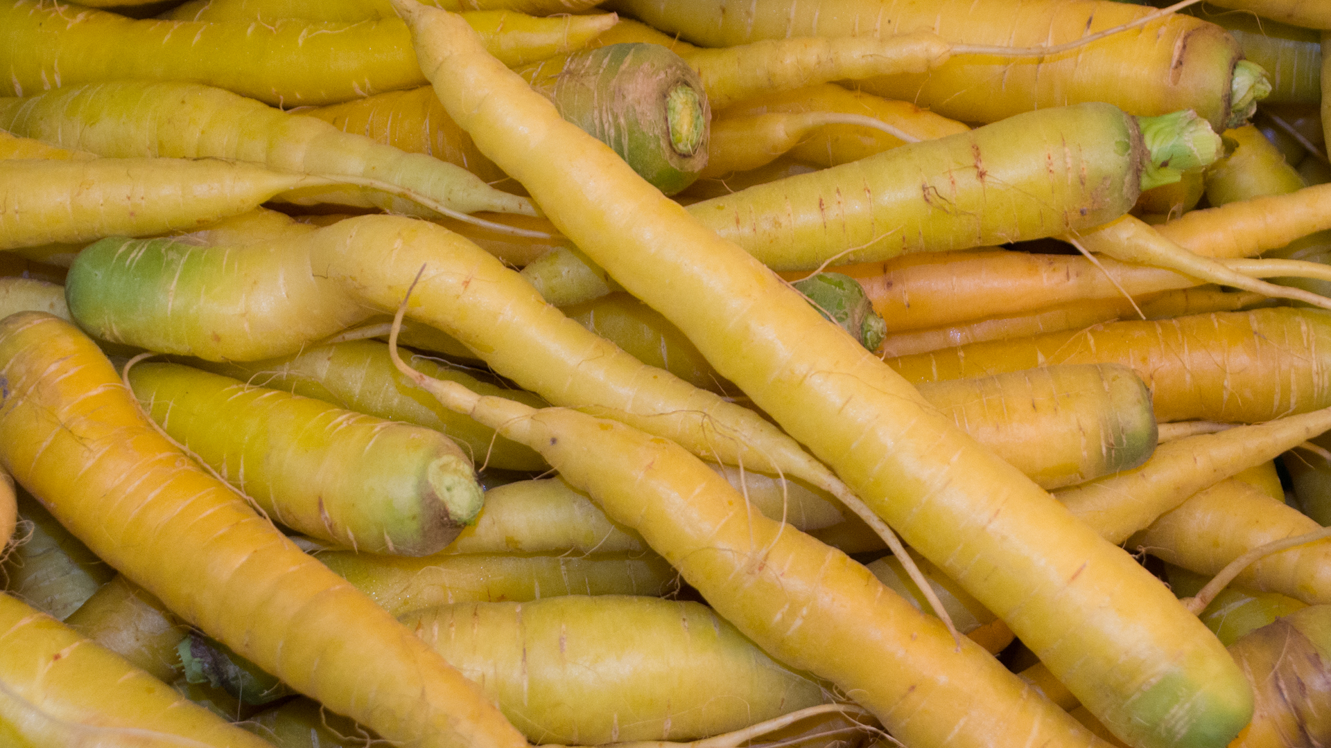 bio-m-hren-gelb-kiste