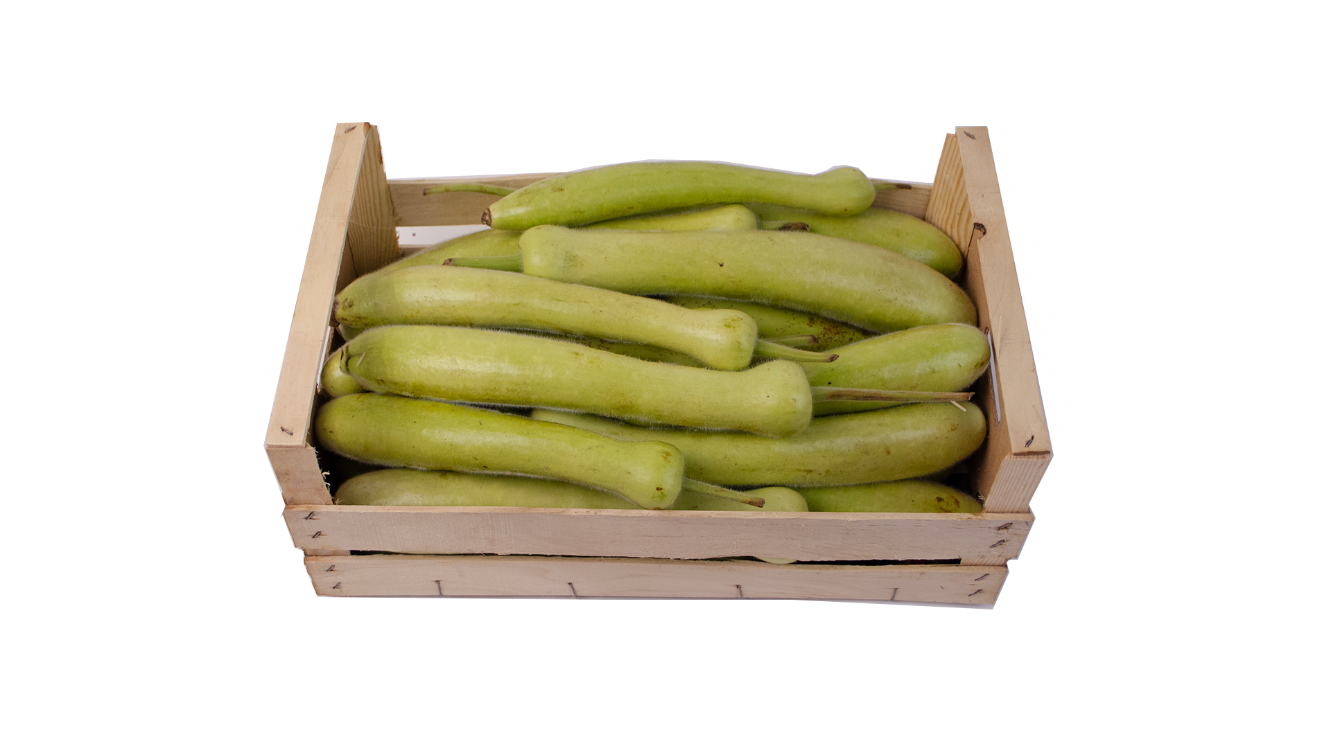 Trompeten Zucchini grün je kg