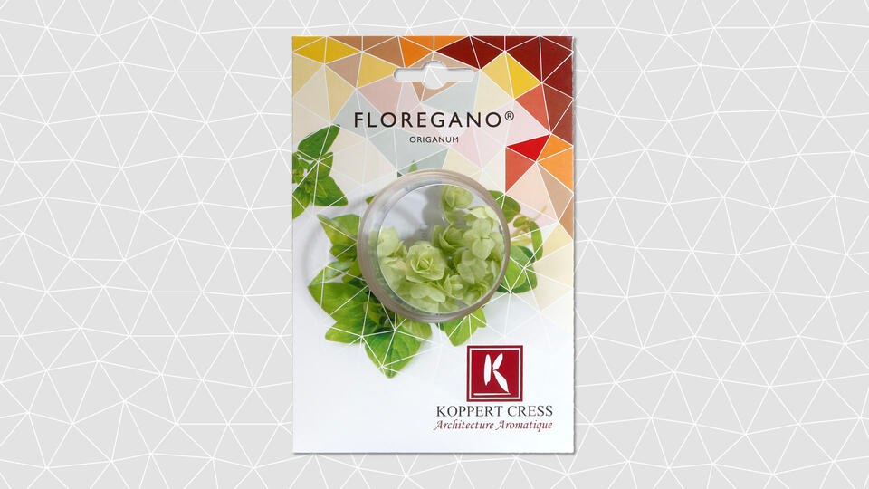 Floregano Origanum