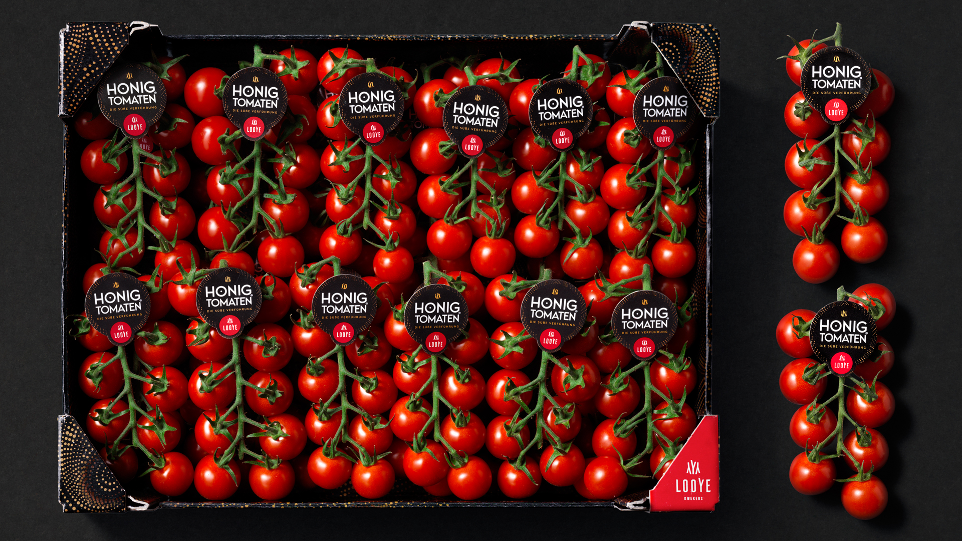 Honigtomaten (Cherry Strauch)