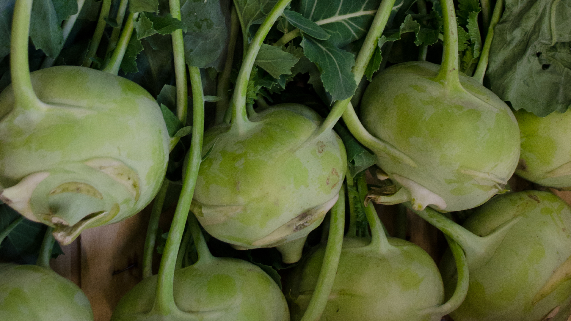 Bio Kohlrabi mit Blatt Stück