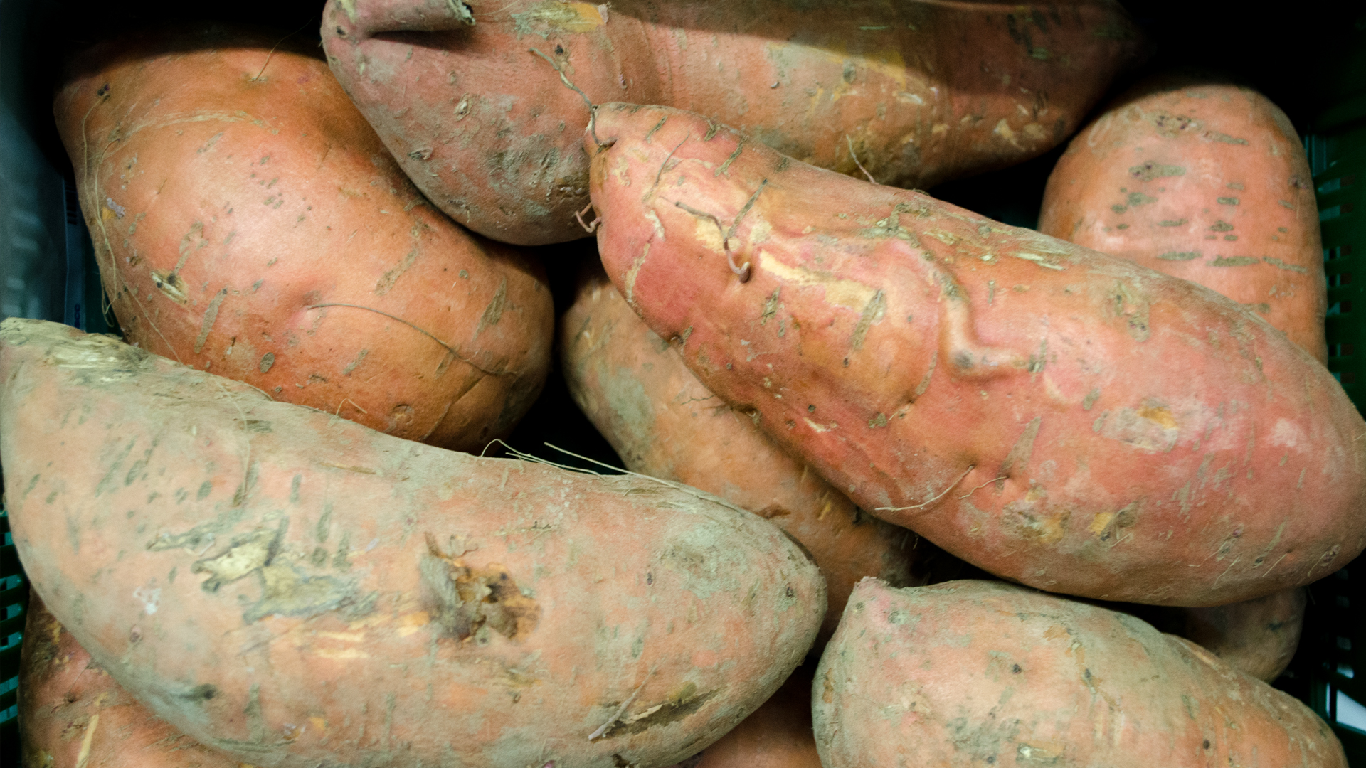 Bio-S-sskartoffel5a632abd1c324