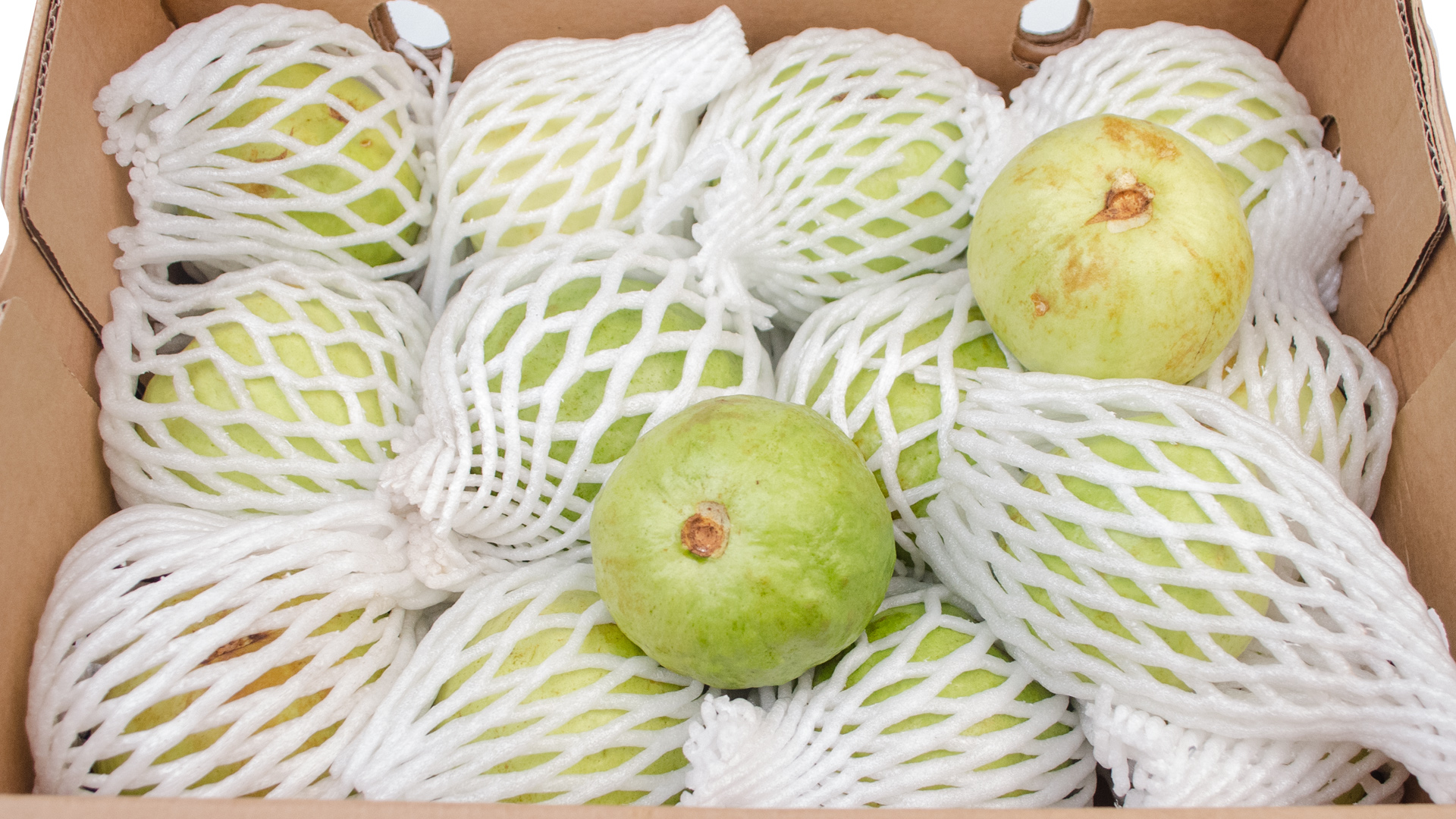 guaven-weiss-indienpxpnZlBpOGCUB