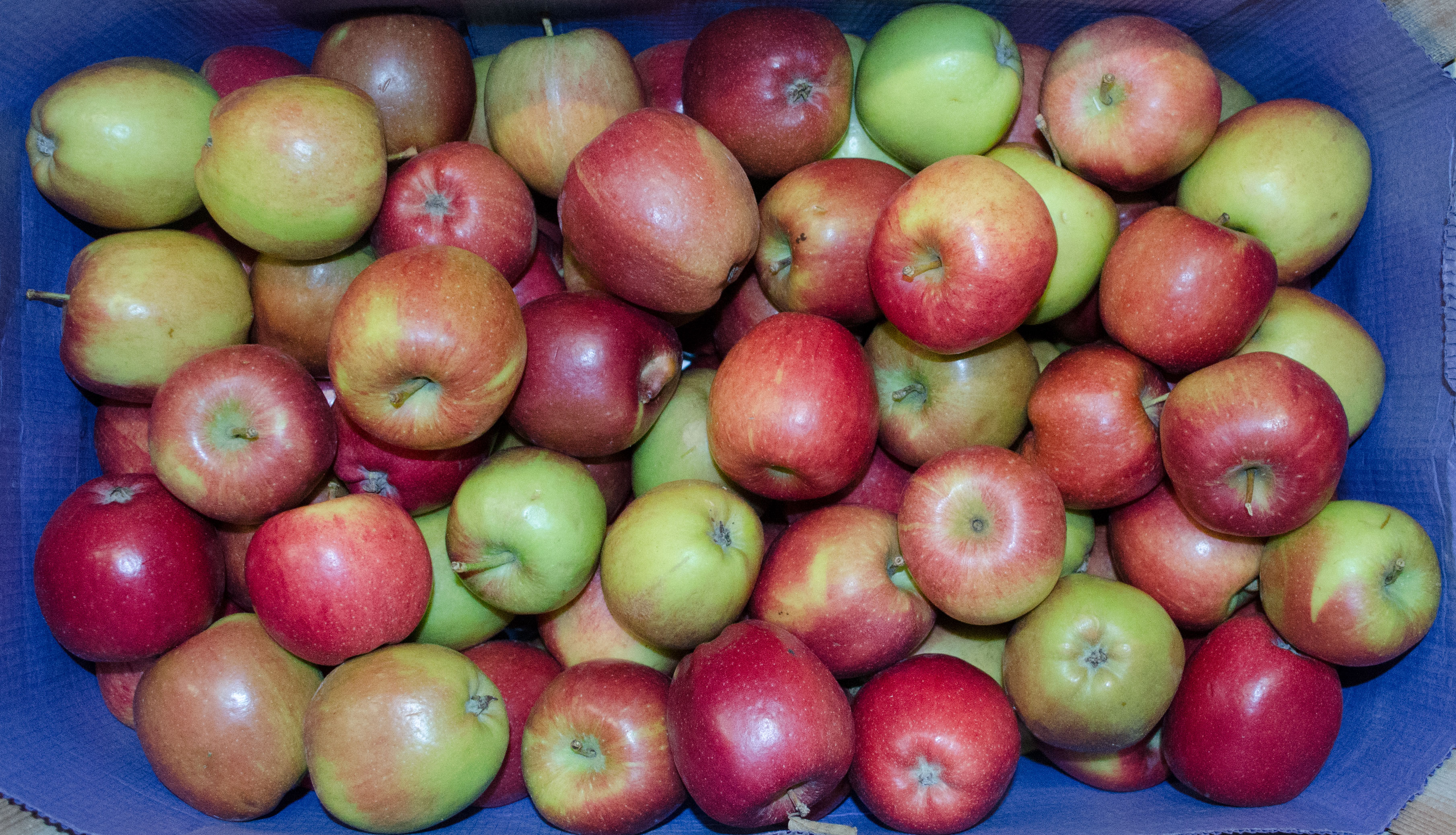 Apfel Braeburn Kiste