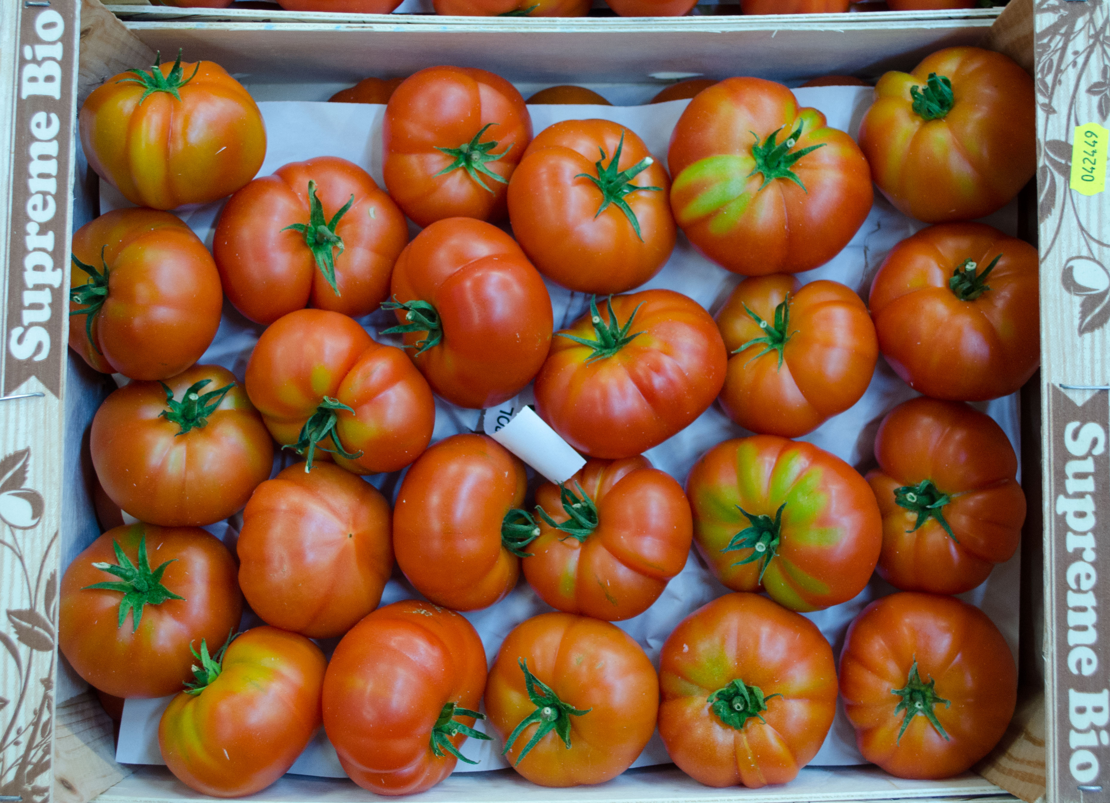 Bio Erbstück Tomaten Kiste