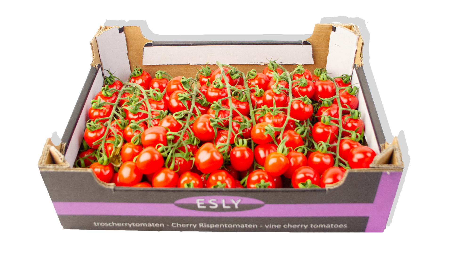 Tomaten Cherry Strauch Kiste