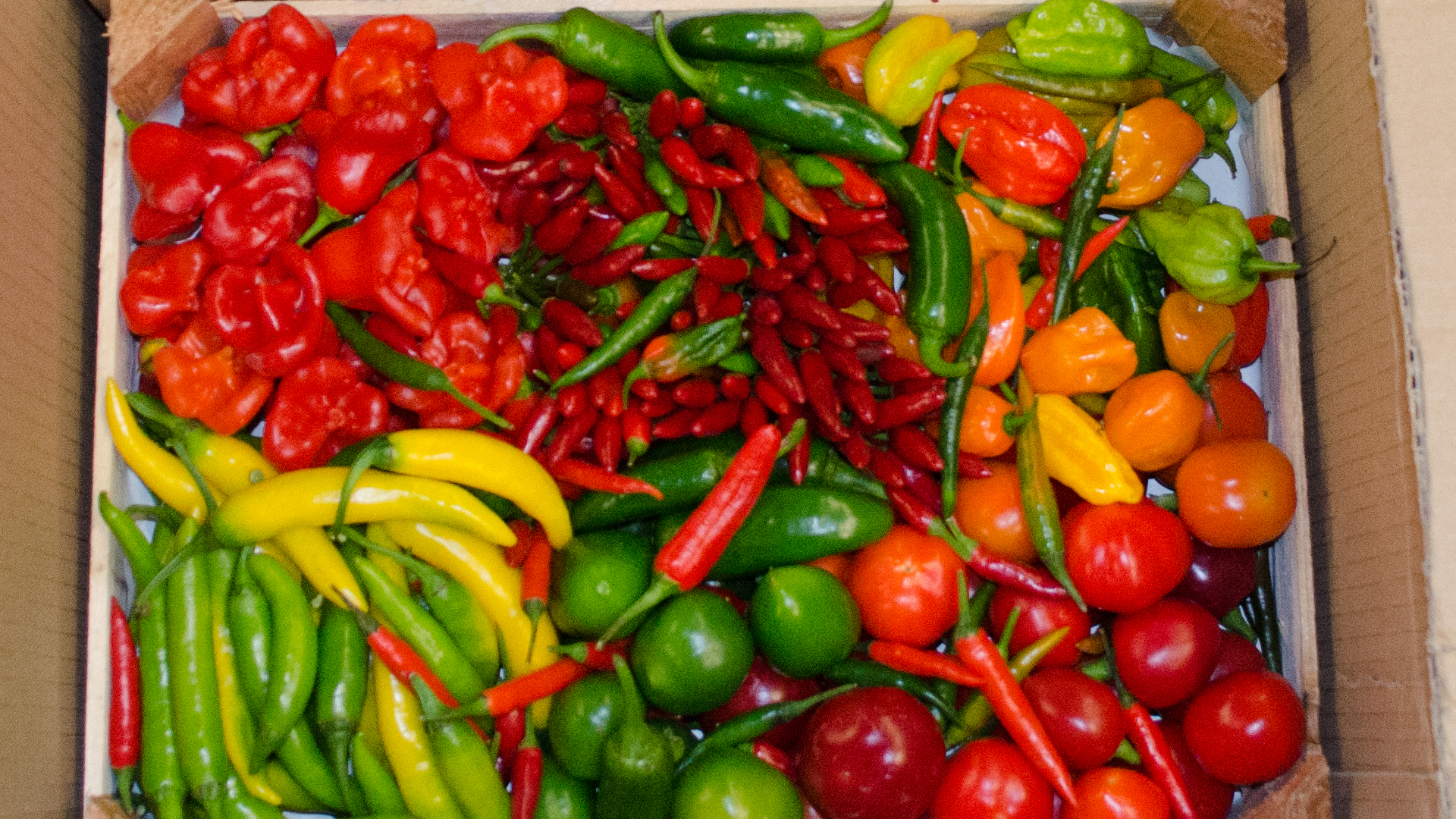 chili-paprika-mix-scharf