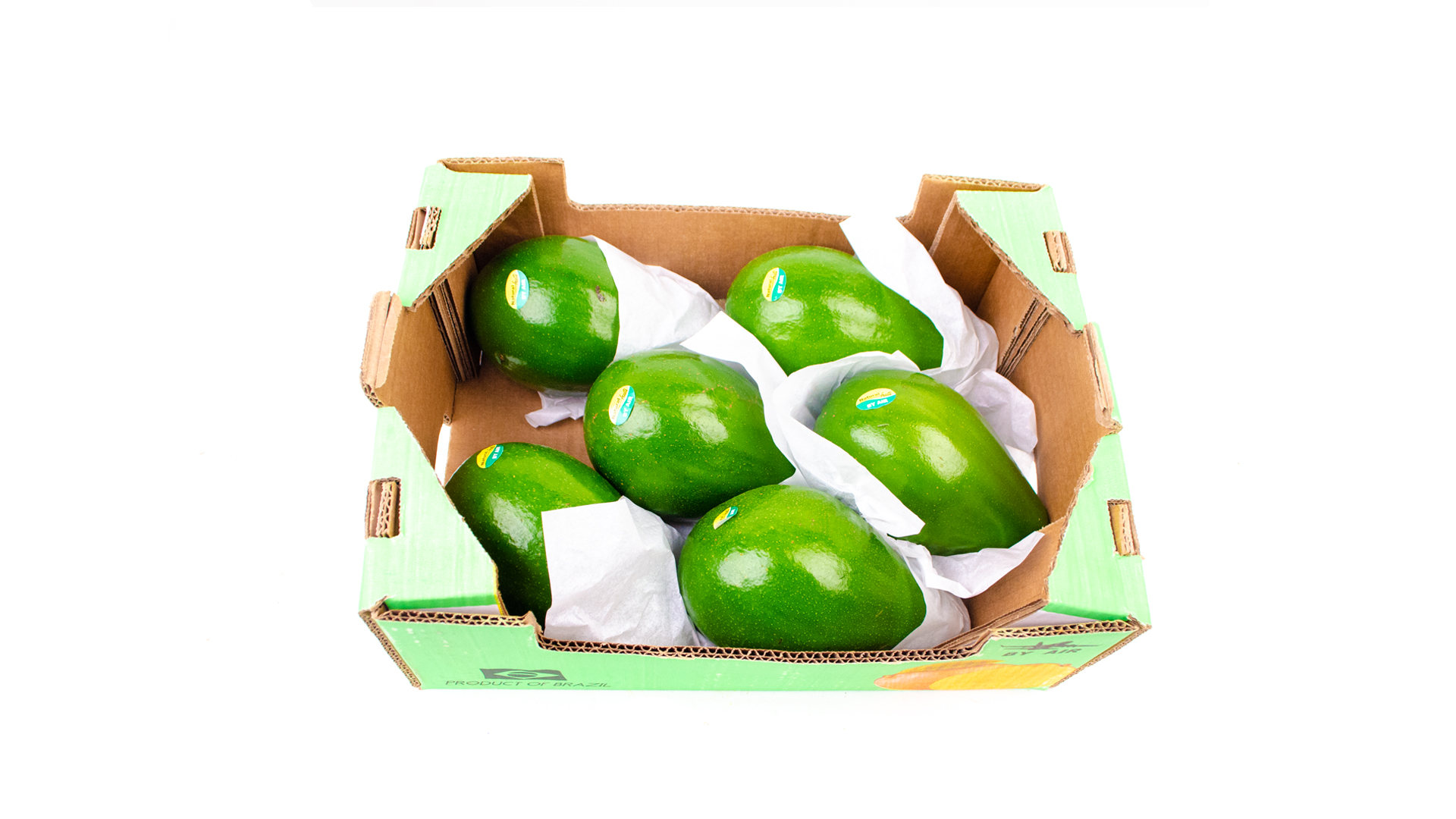 Flug Avocado grün