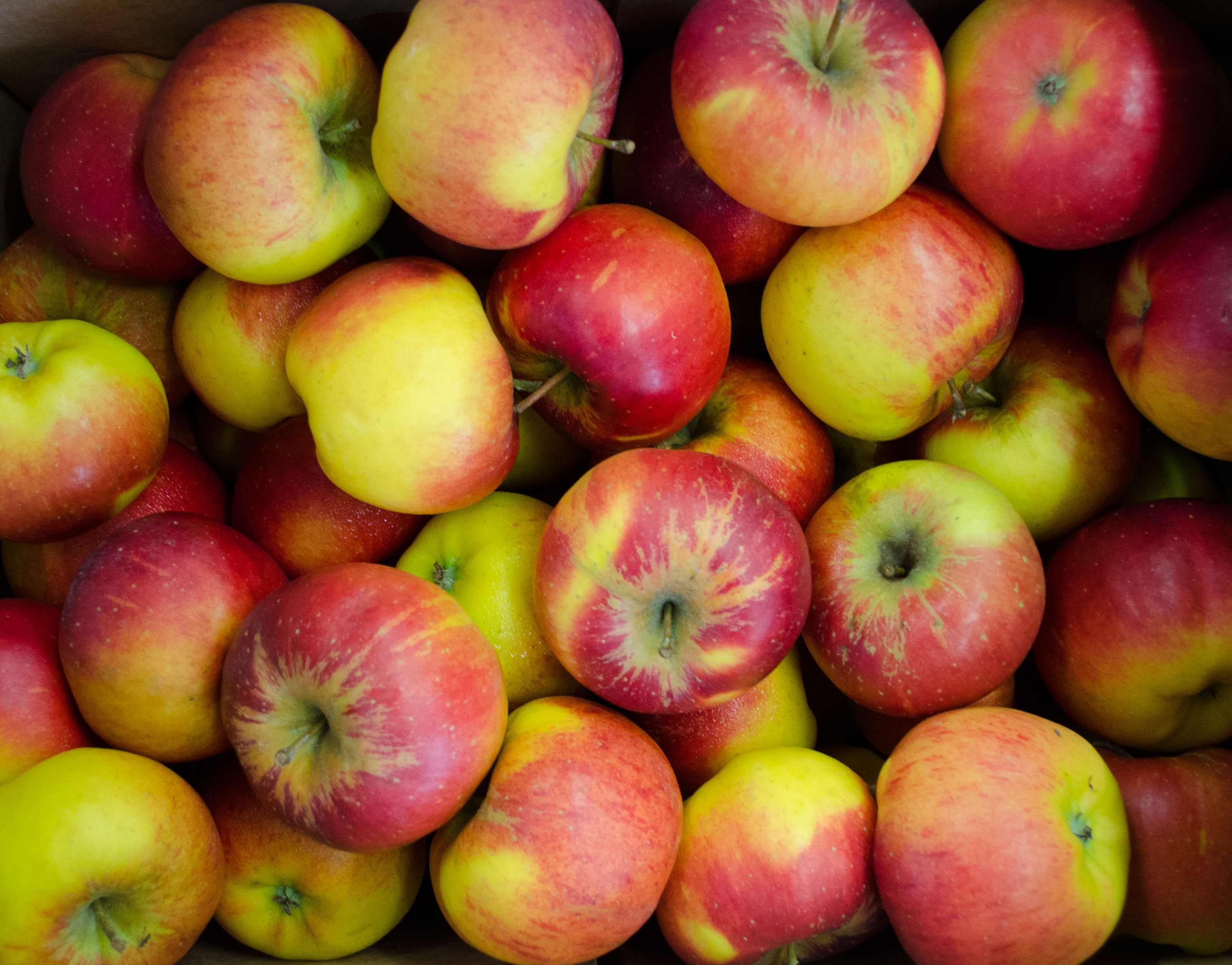 Bio-Apfel-Topaz