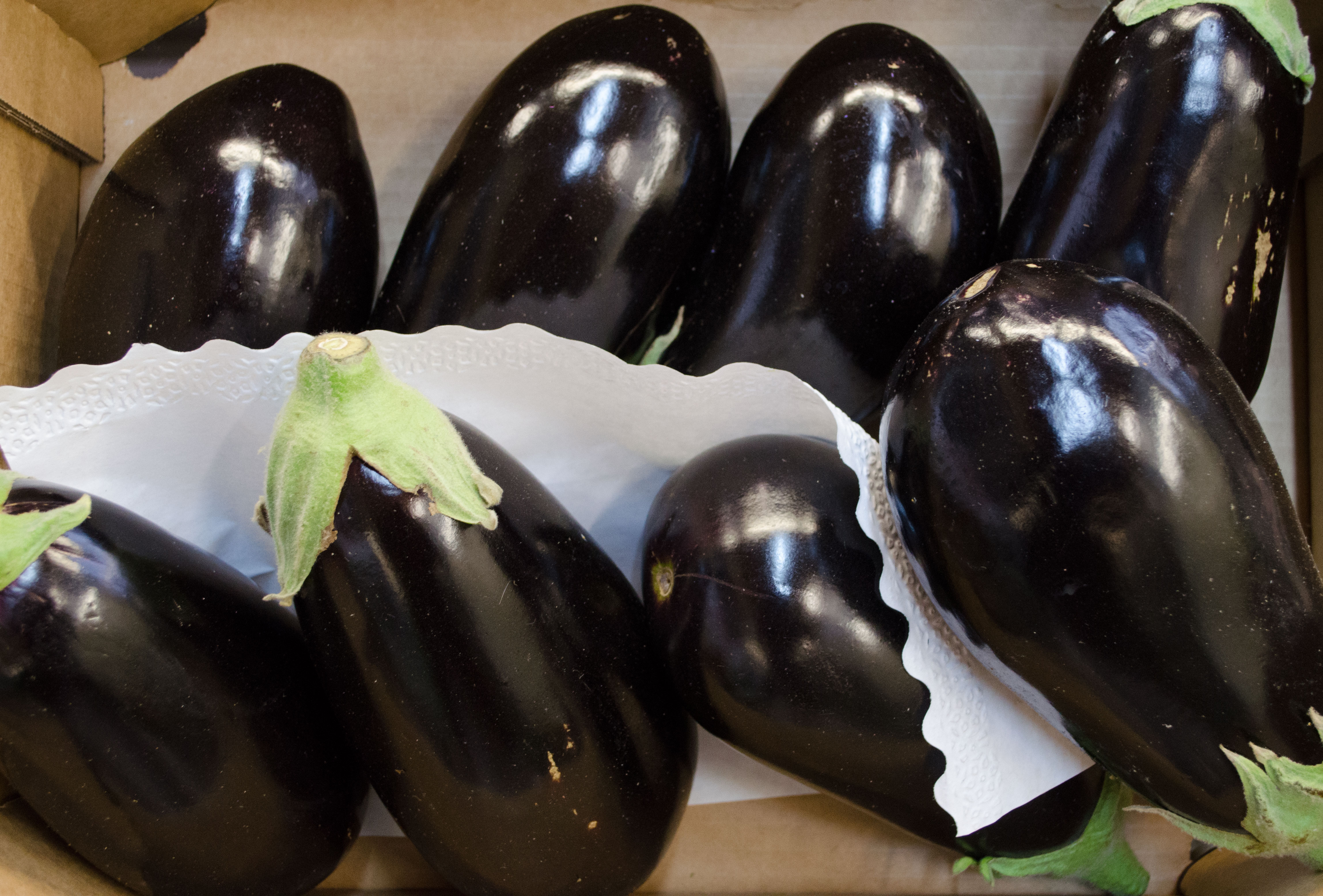 Bio-Aubergine