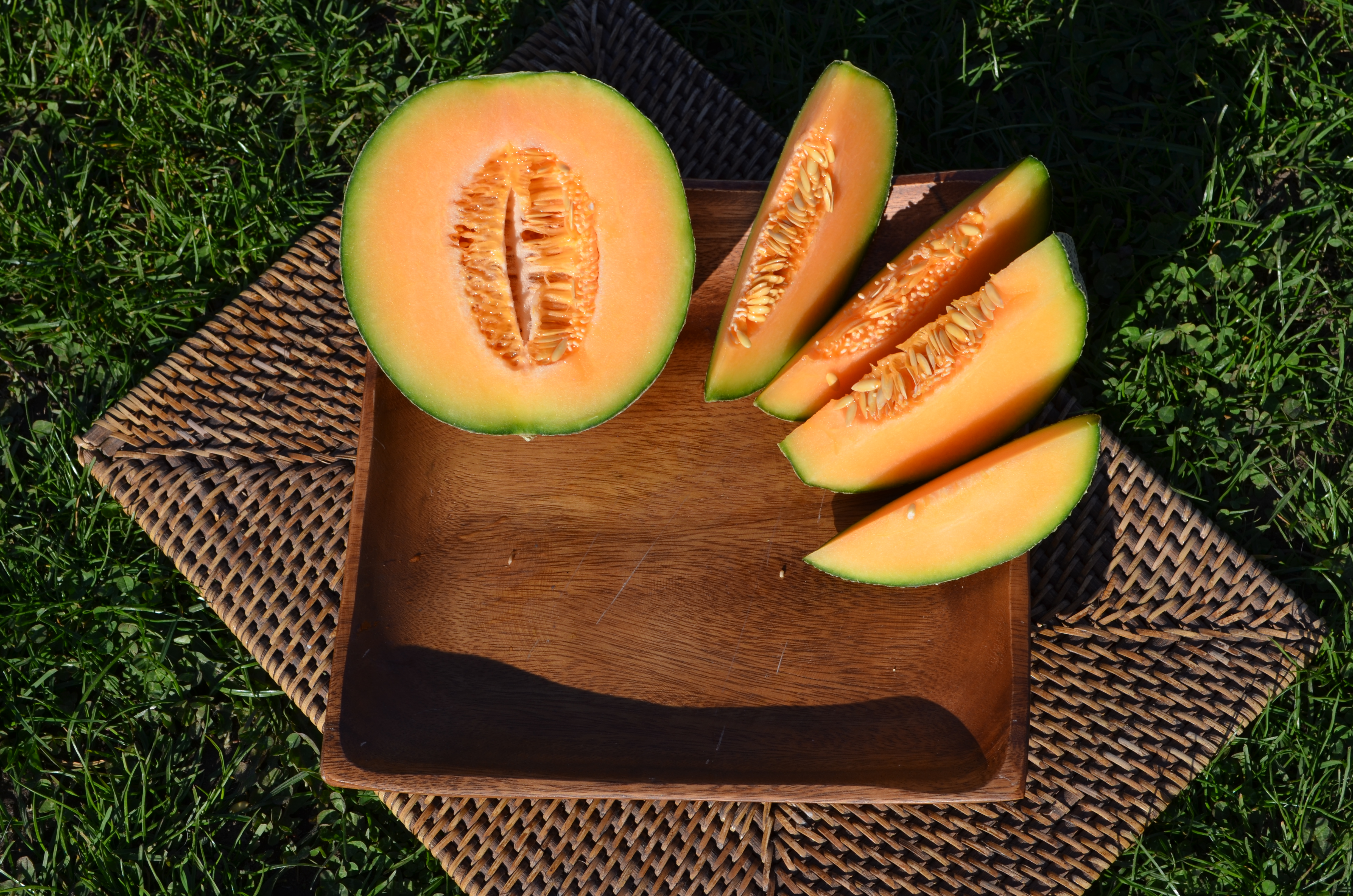 Melone Cantaloupe