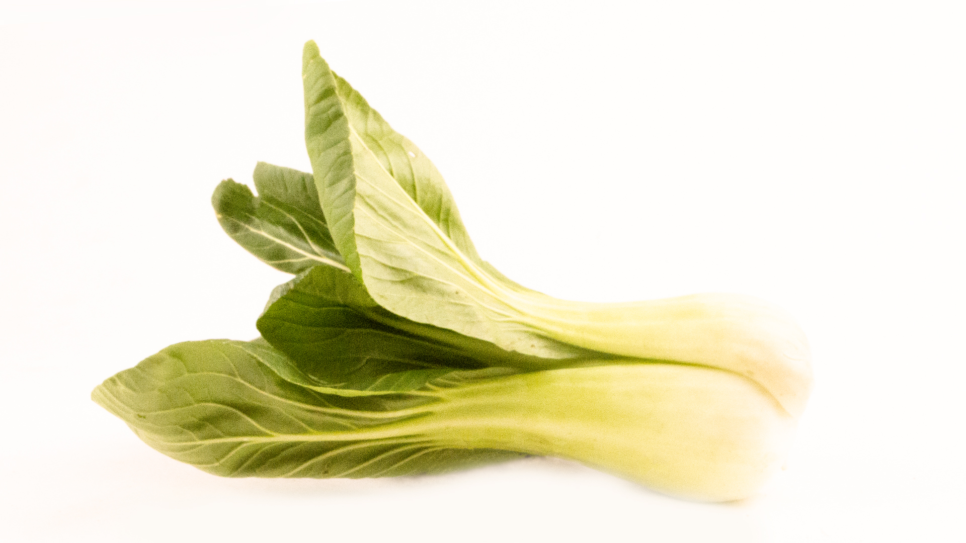 Pak Choi