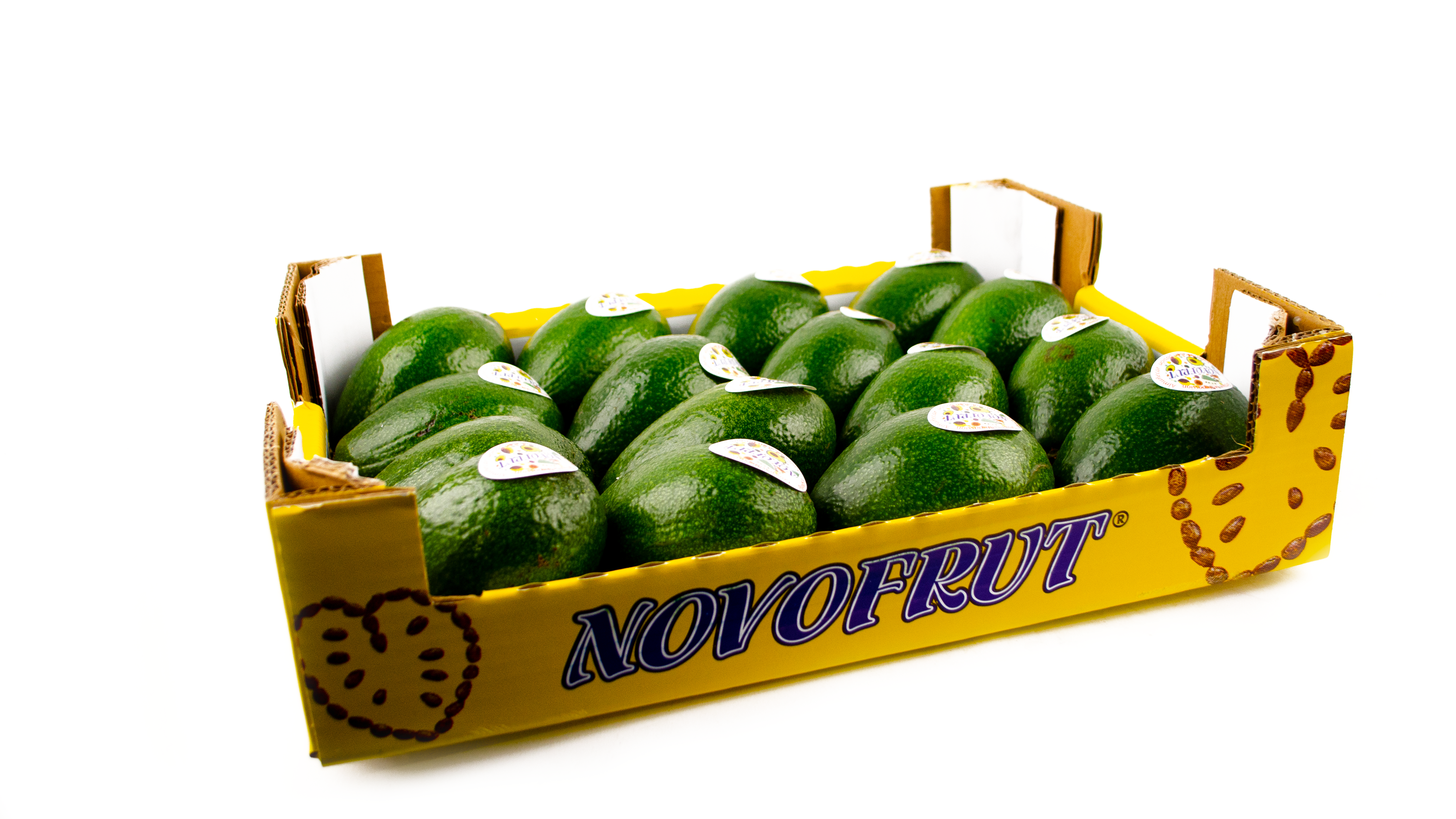 Avocado grün Becon Kiste
