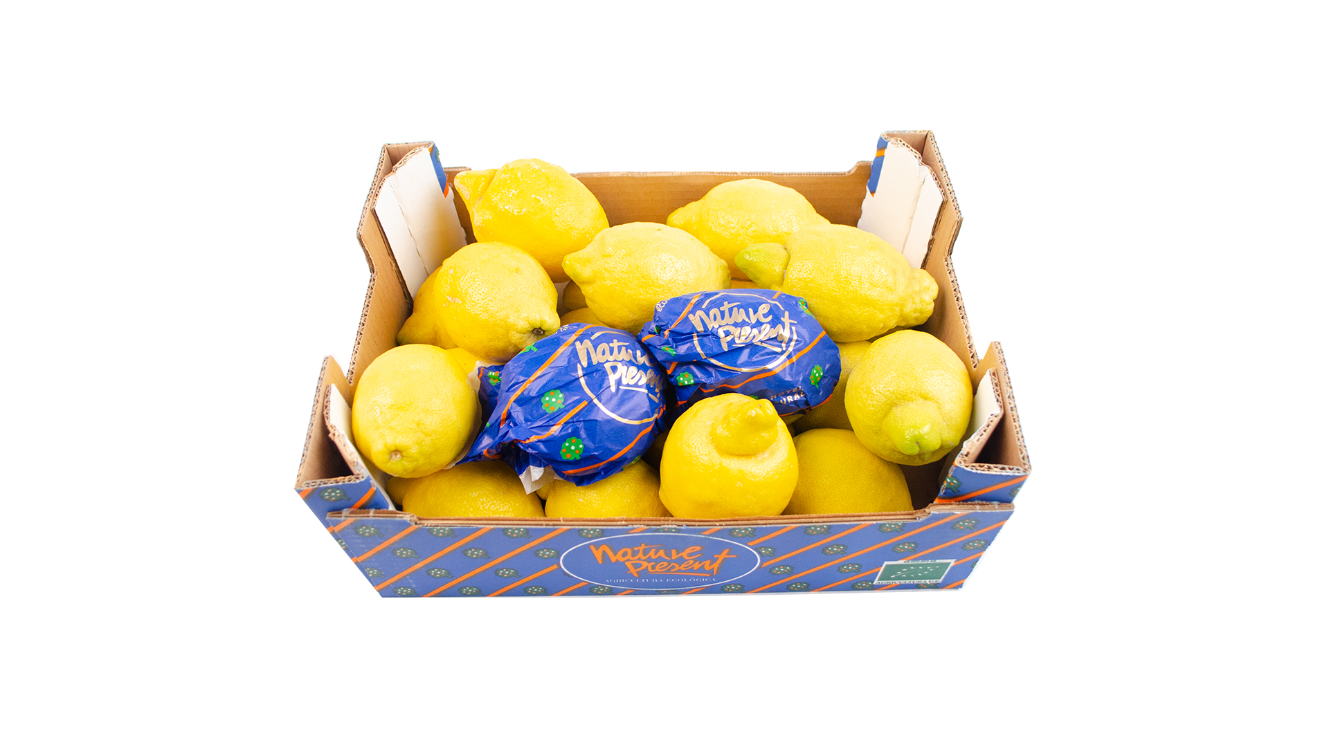 Bio Zitronen Kiste groß