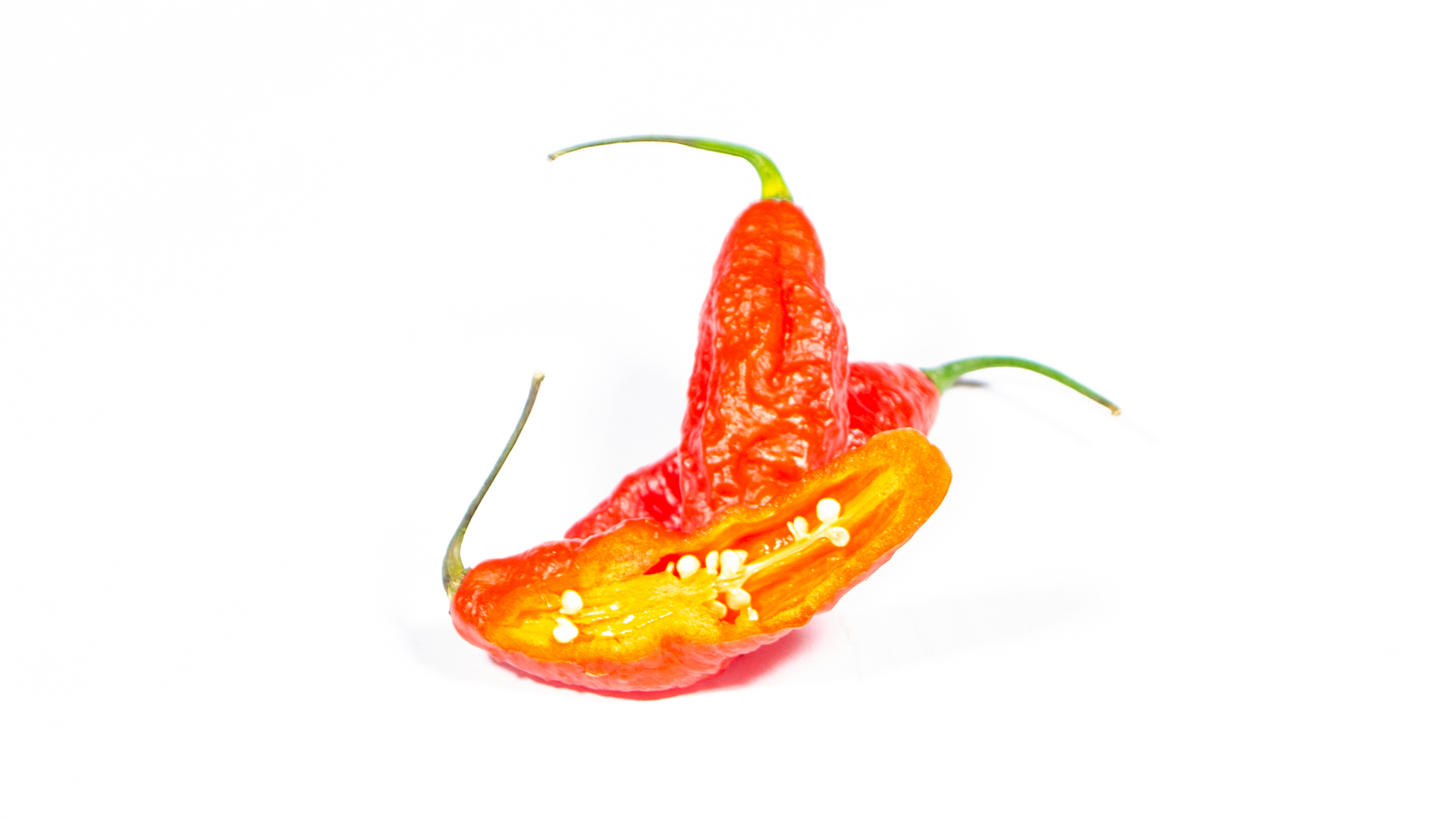 Bhut-Jolokia-Paprika-scharf
