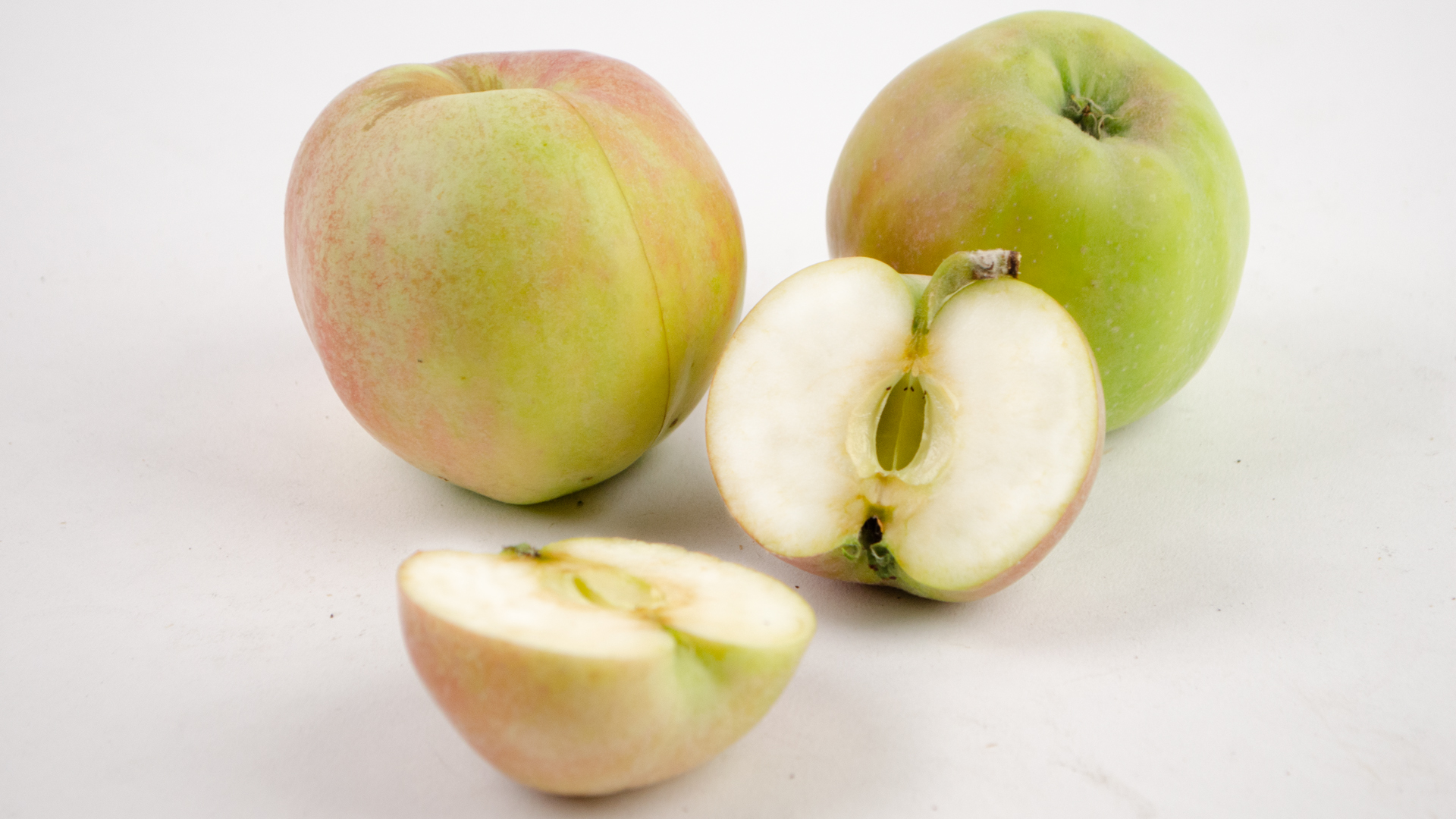 Apfel-Gravensteion