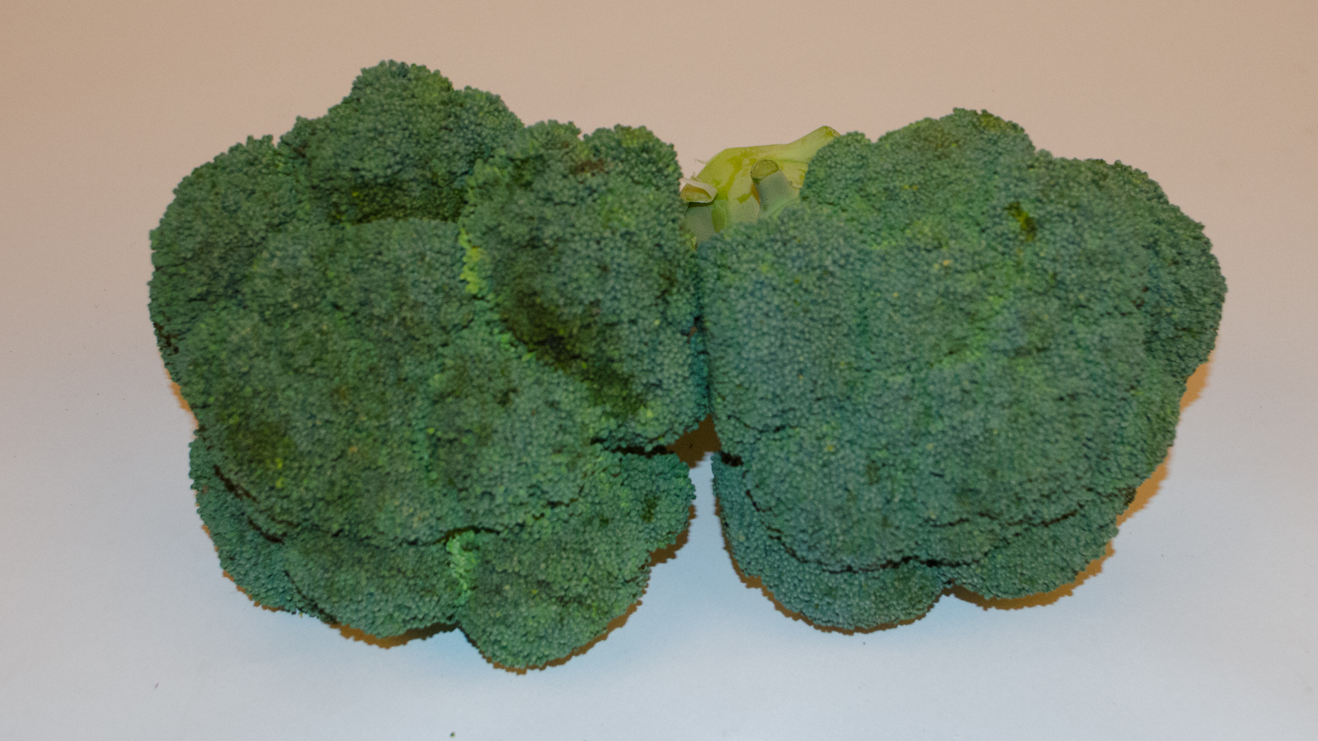 Brokkoli Broccoli 0,5kg