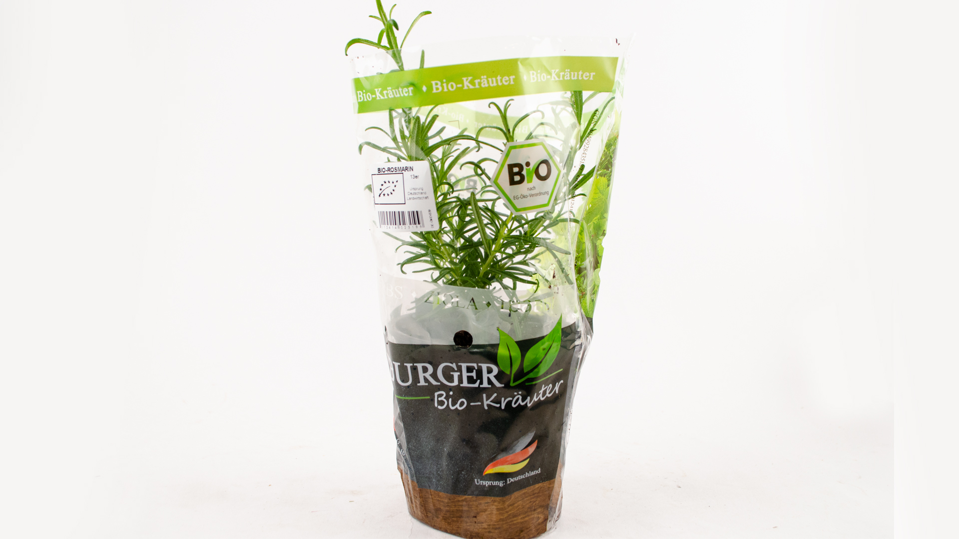 Bio-Rosmarin-verpackung Bio Rosmarin im Topf