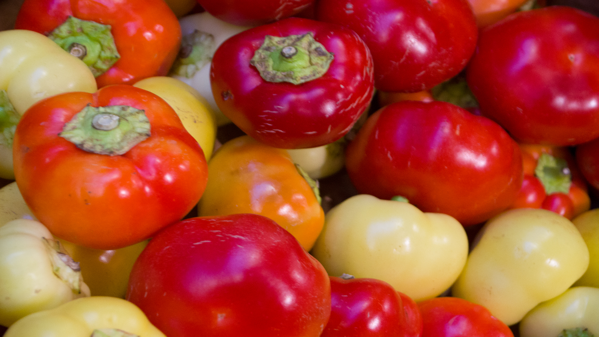 Paprika-rund-Detailaufnahme