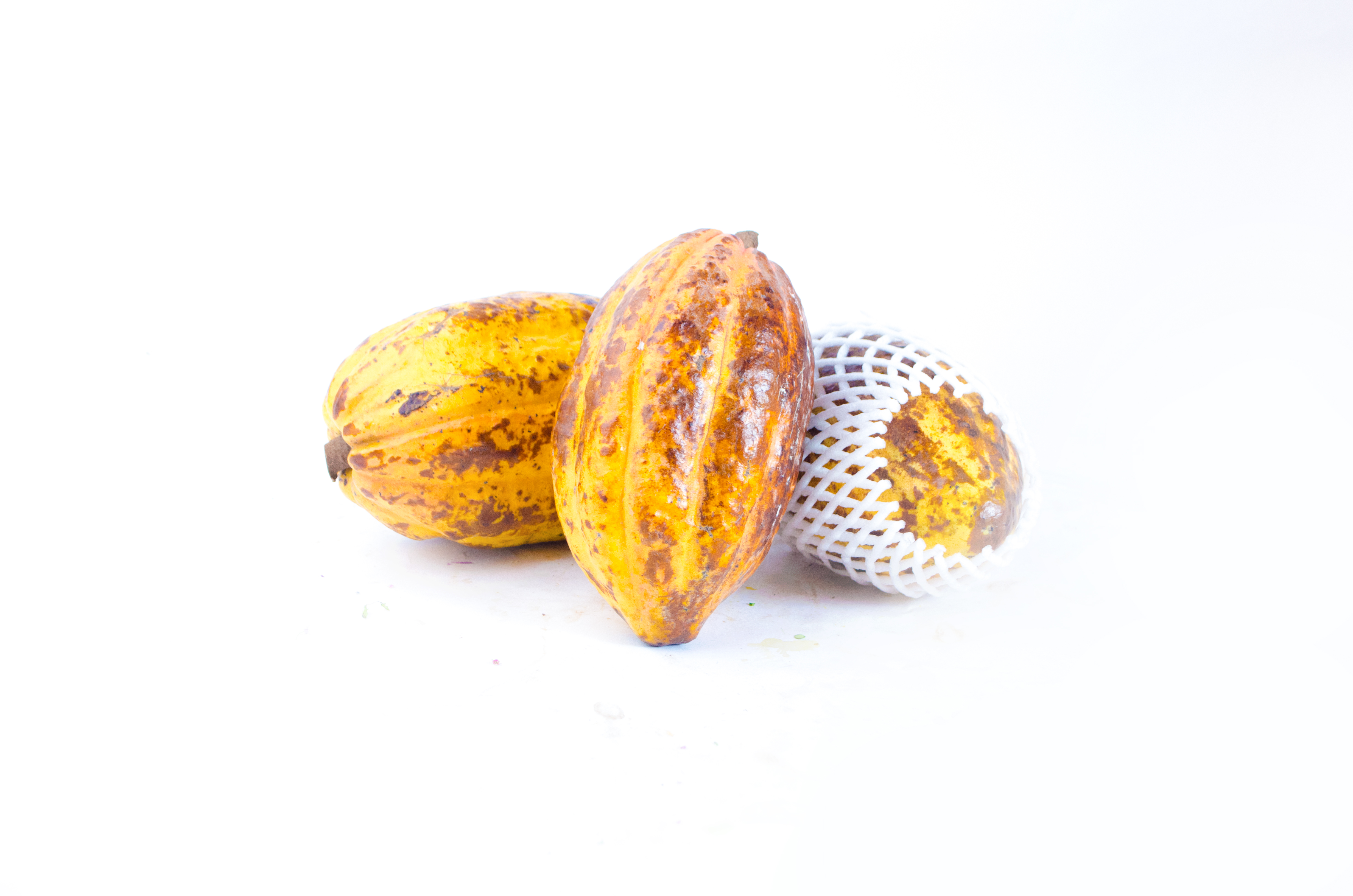kakao-vietnam