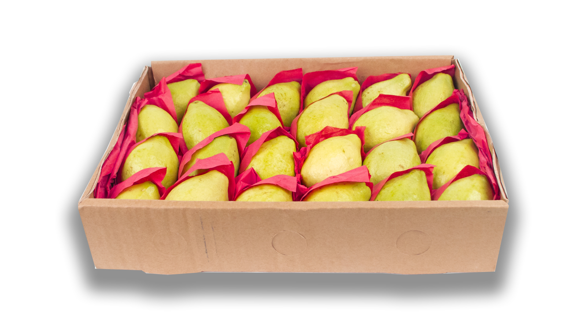 Guave länglich innen weiss Kiste