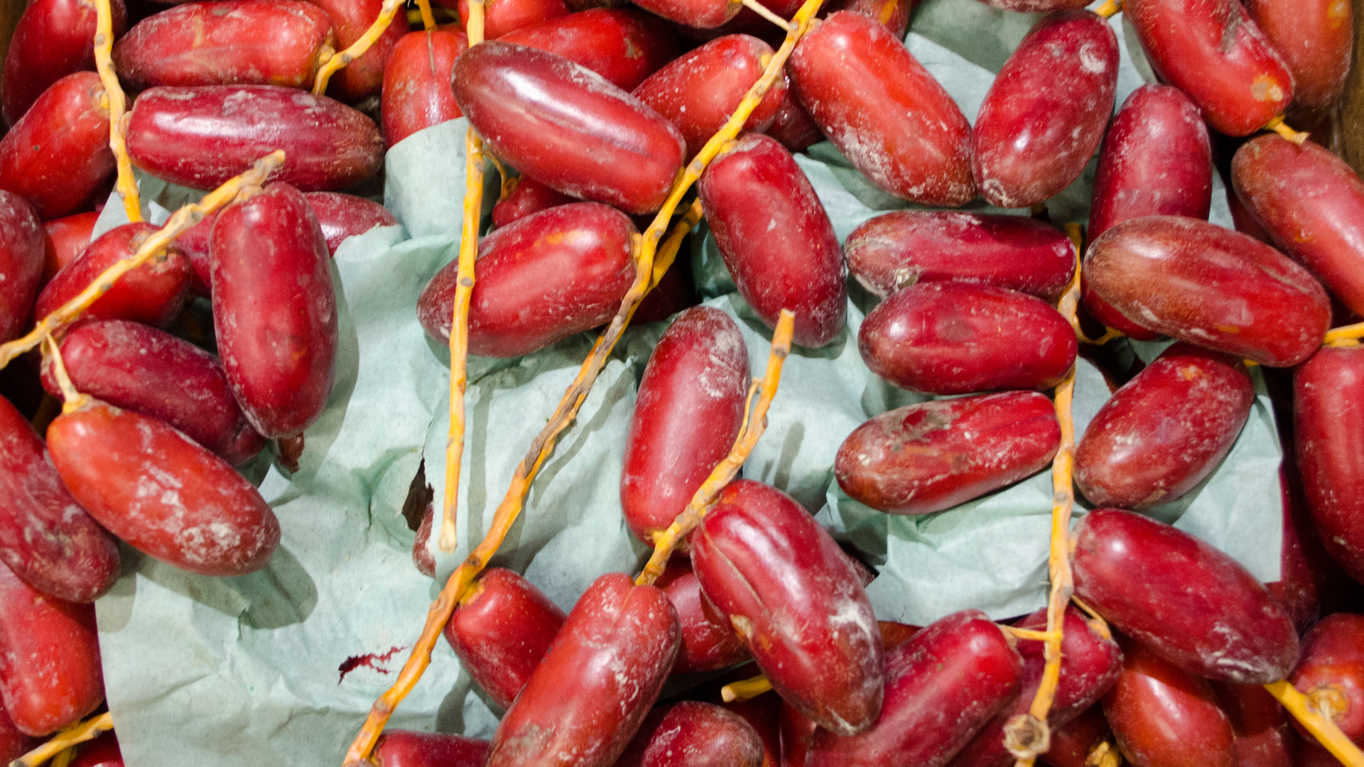 dattel-frisch-rot-kiste