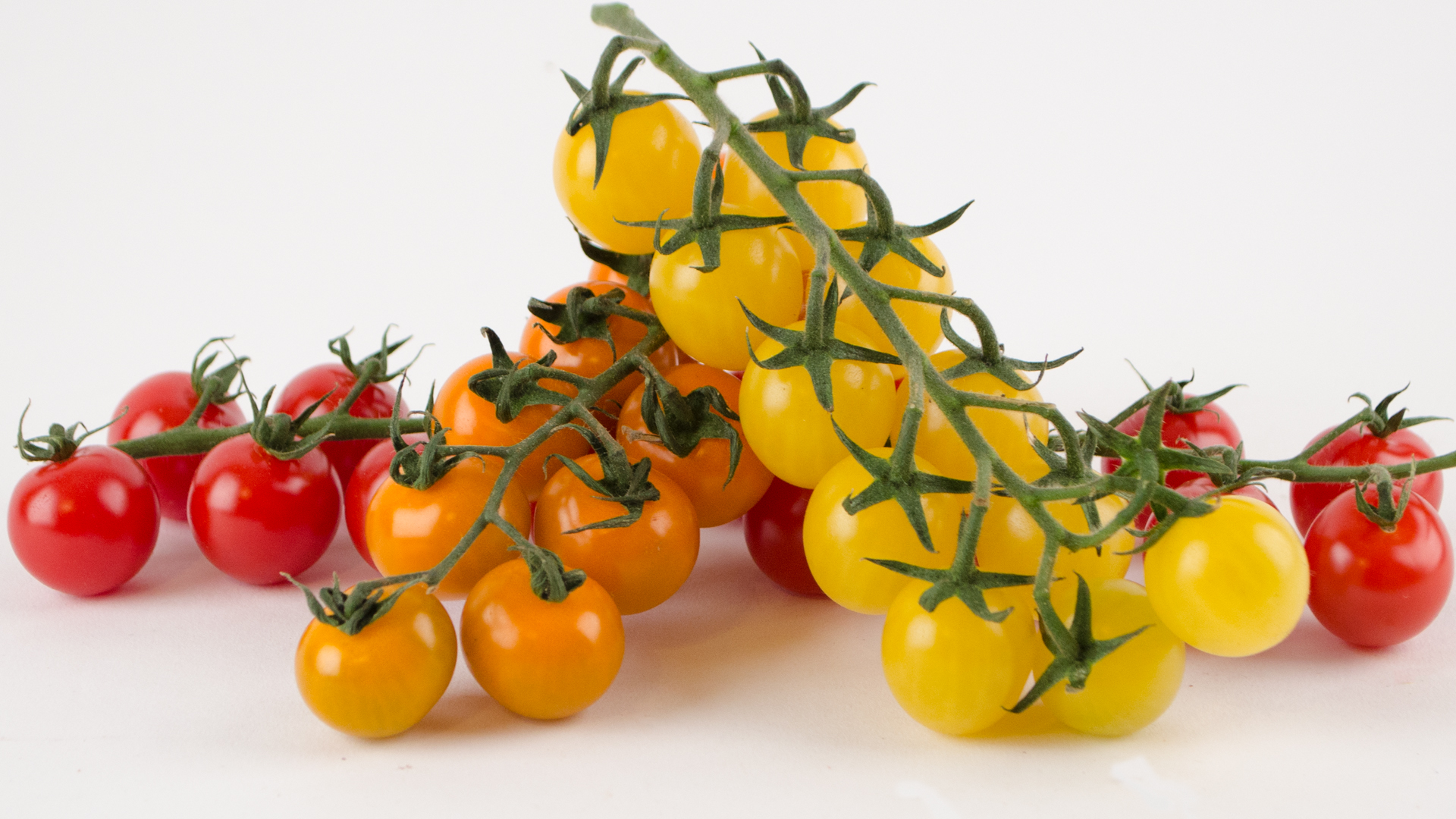 Golden Taste Tomaten (Cherry Strauch) Kiste