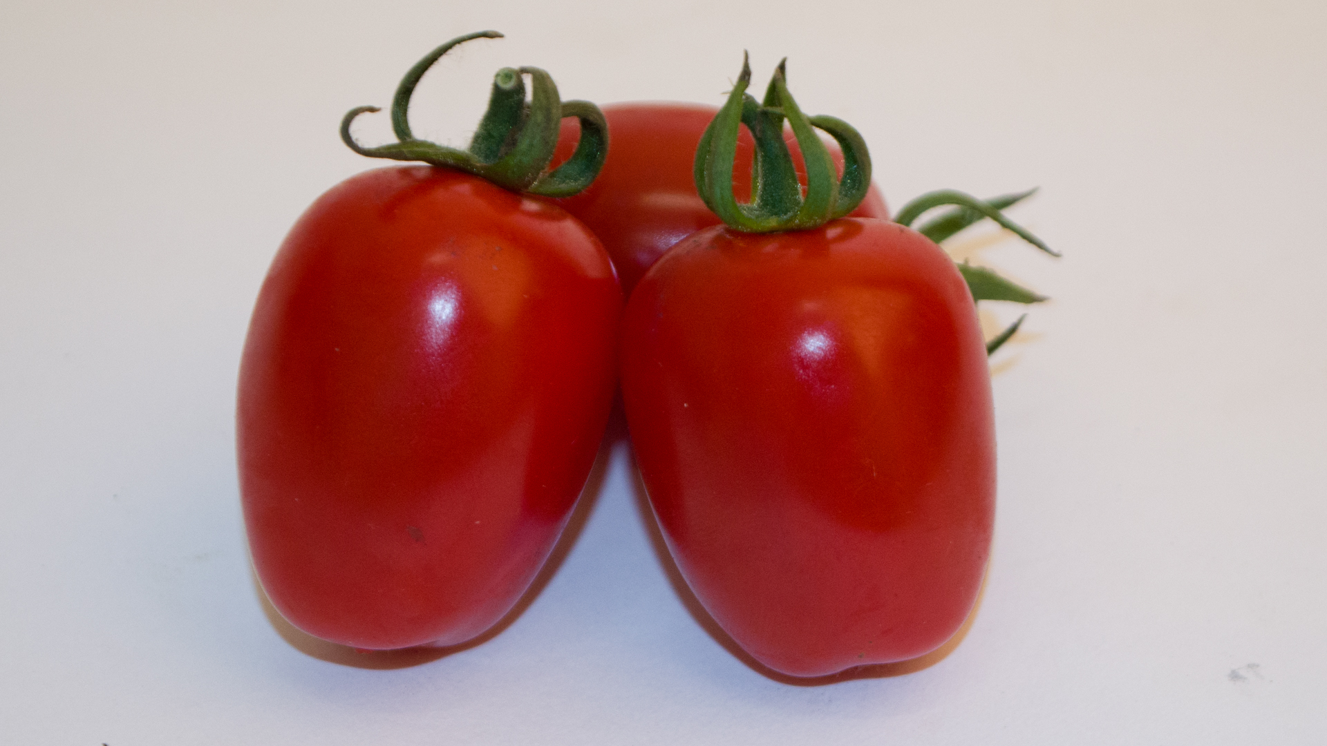 Dattel Cherry aus Nord Deutschland Tomaten Kiste