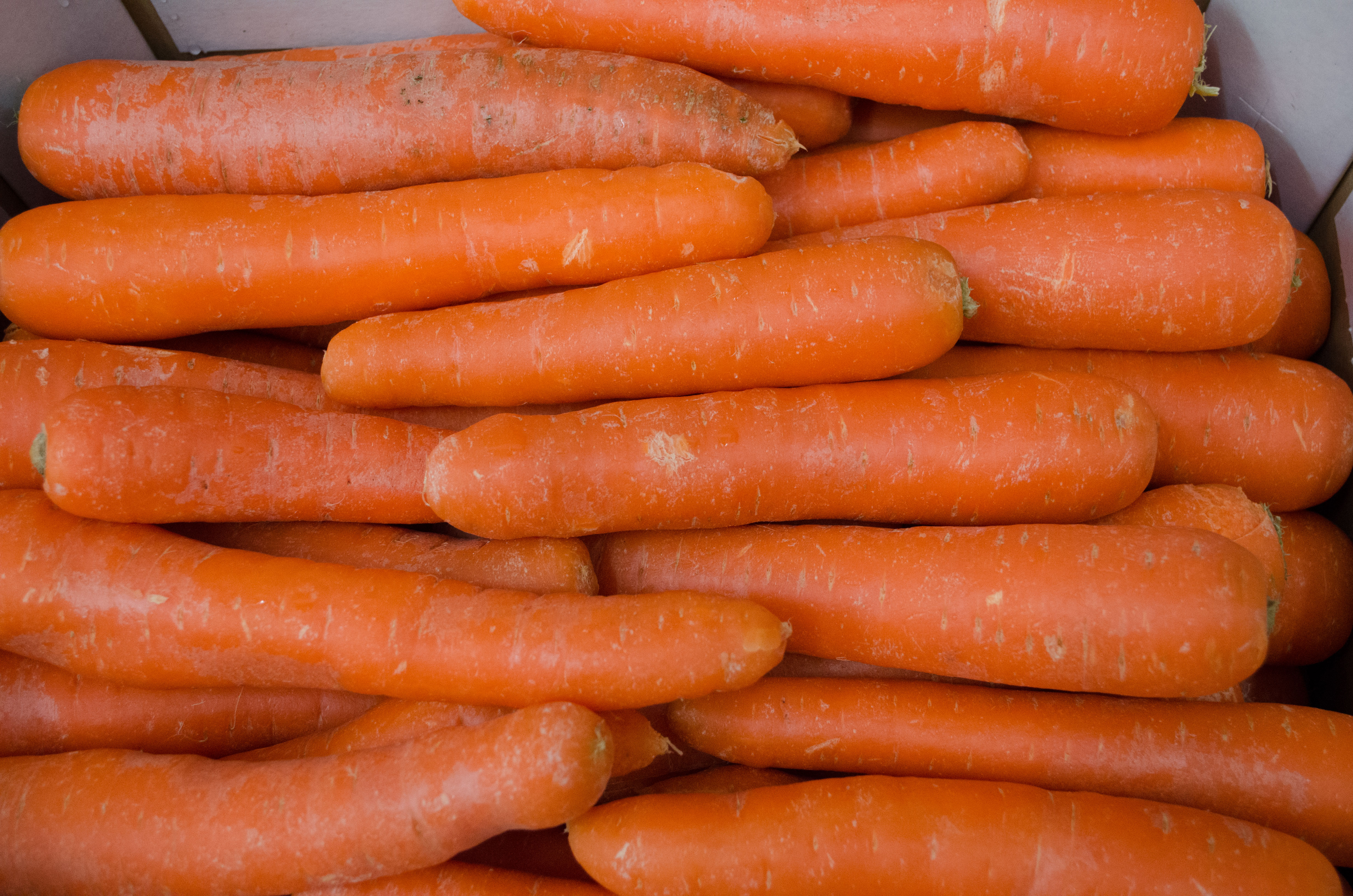 Bio Möhren gewaschen Italien je kg