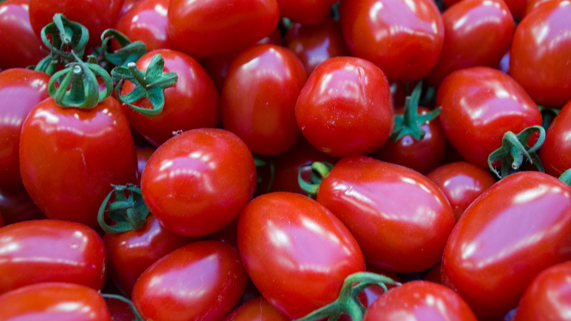 Dattel Cherry aus Nord Deutschland Tomaten Kiste