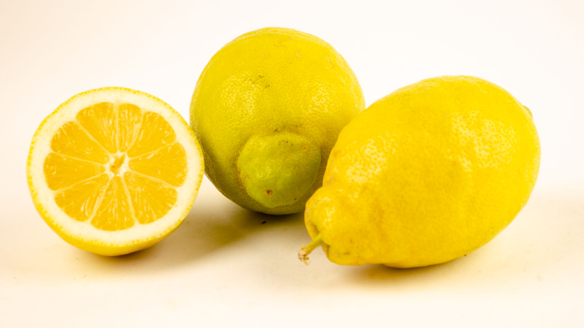 Bio Zitrone Primofiore
