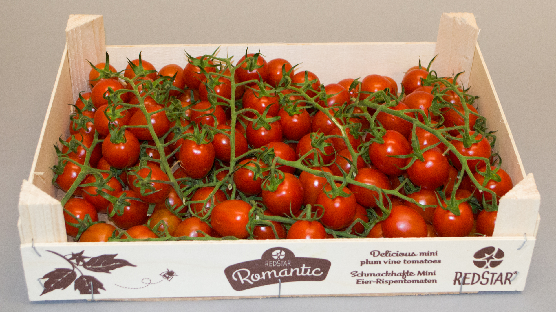 Roma Tomaten Kiste Mini-Pflaumentomaten