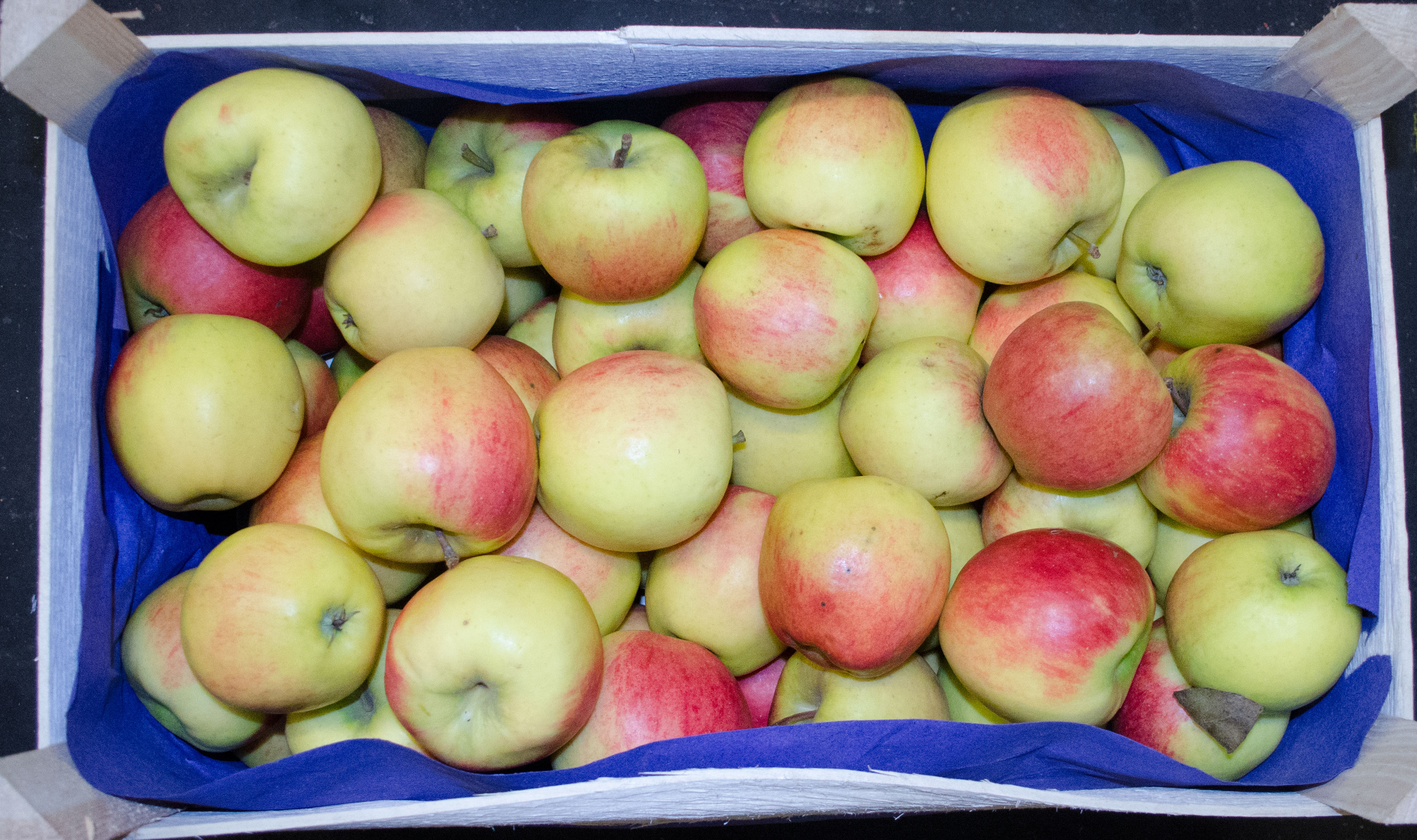 Apfel Jona Gored Kiste