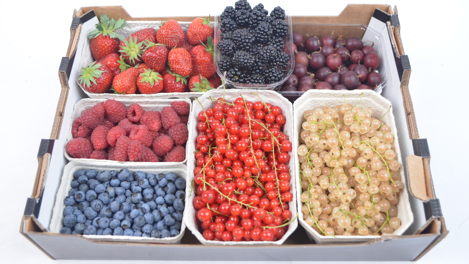 beeren-banner