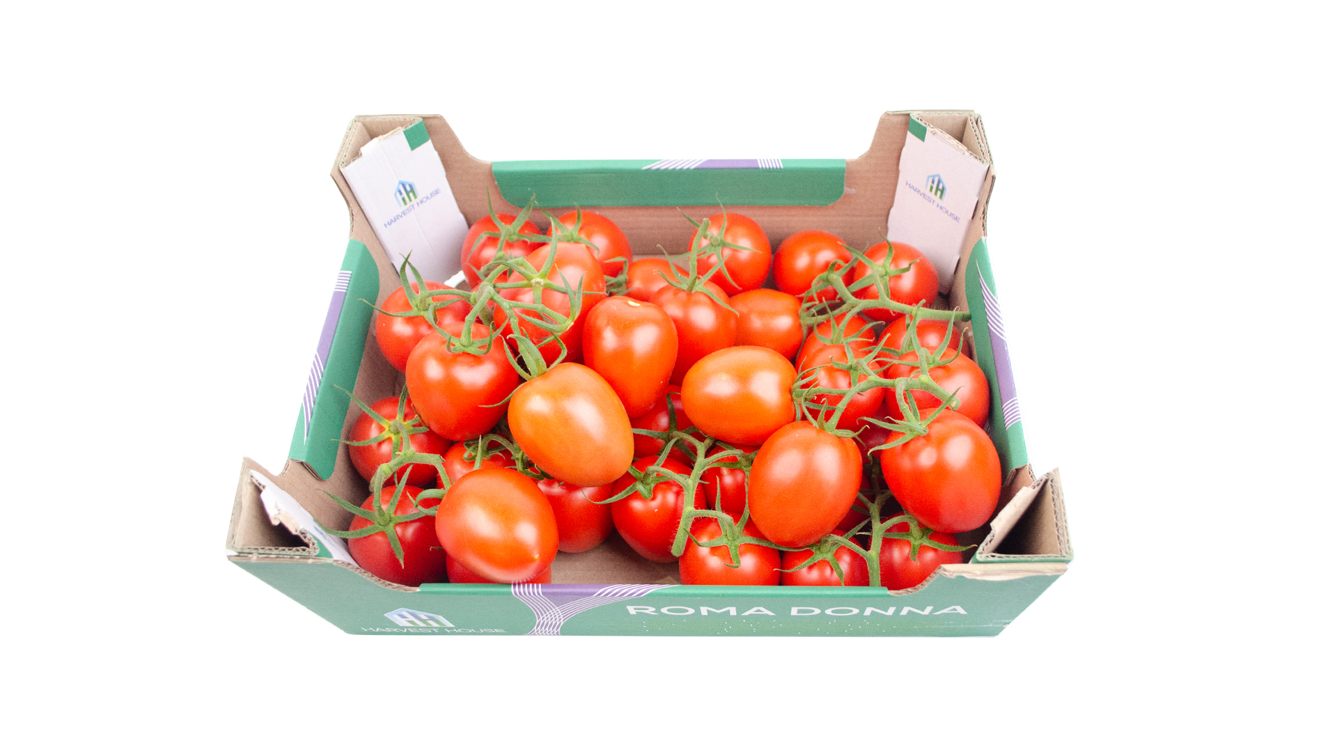 Tomaten Roma Donna "Strauch" NL-Kiste