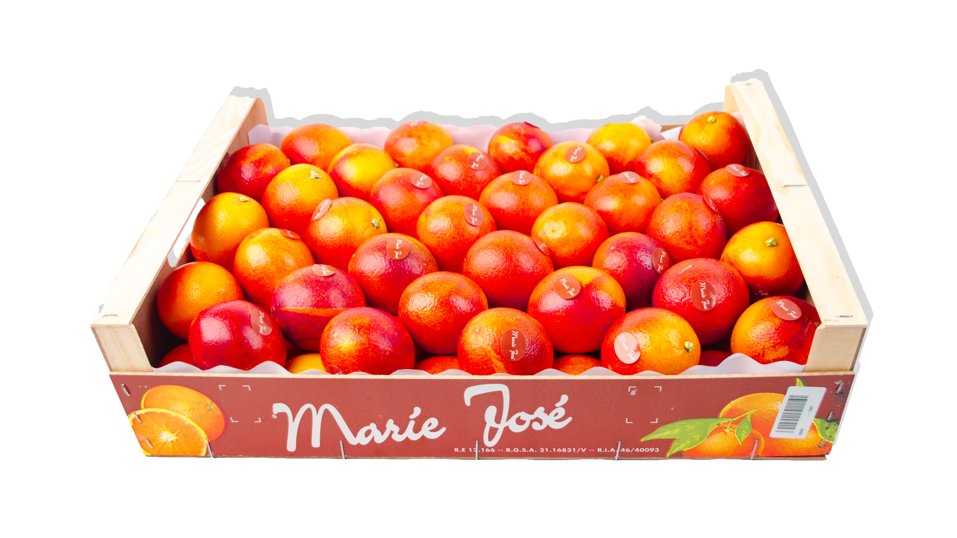 Marie-Jose-Orange-Kiste-signoelli