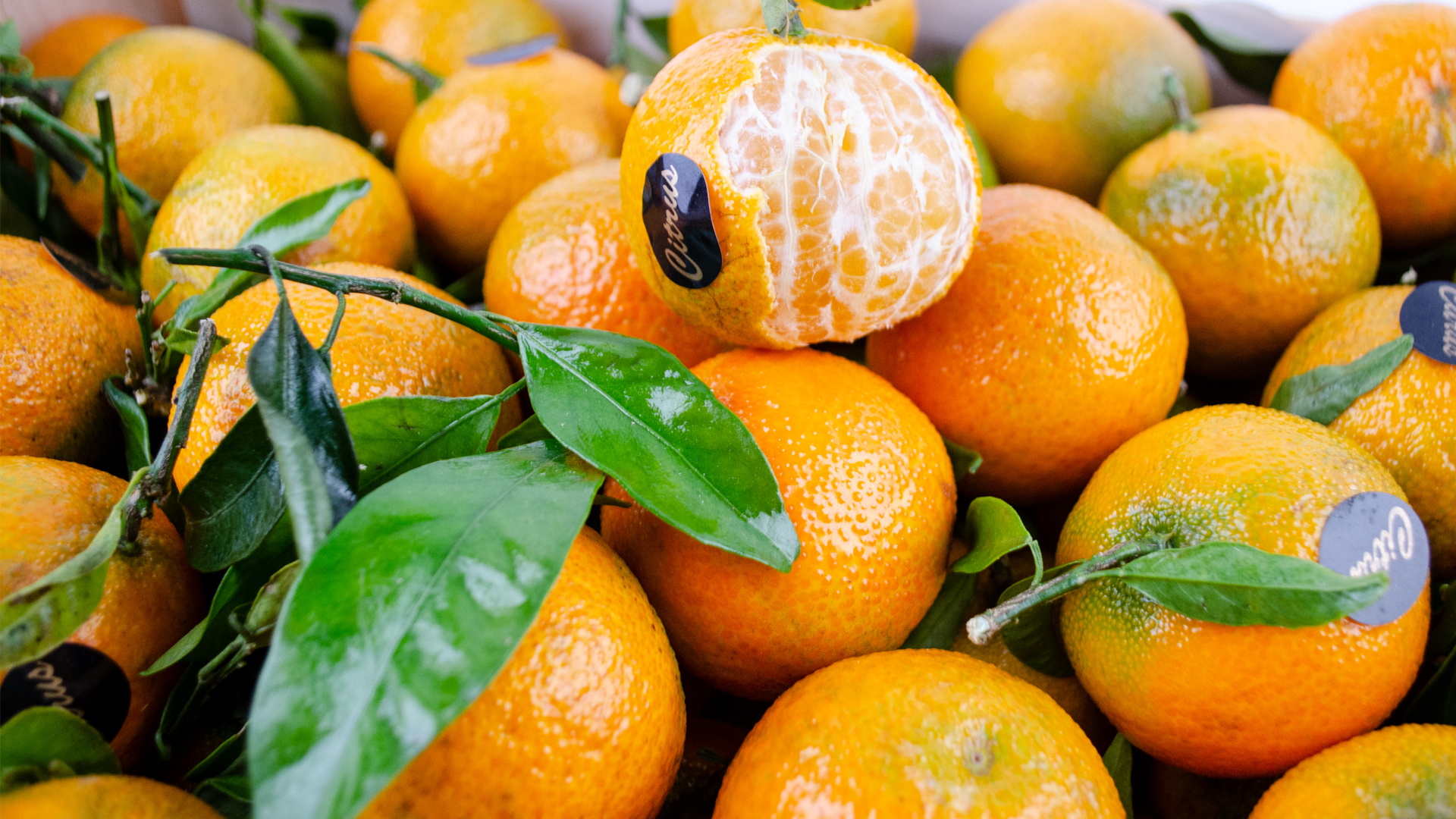 clementinen-mit-gruen-spanien Clementinen mit grün kg