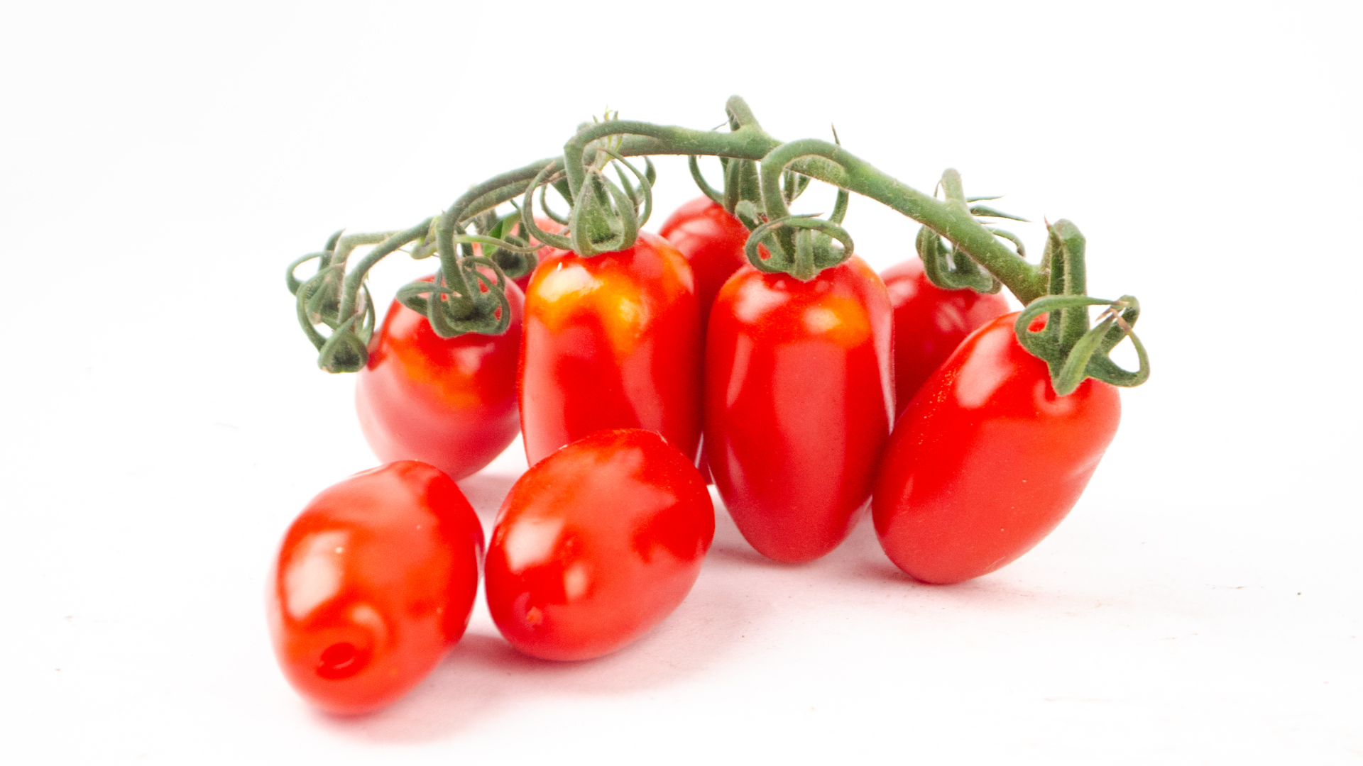 Mini Roma Tomaten