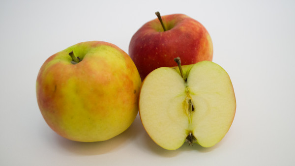 Jona Gorette Apfel _ Jonagold Apfel vom Bodensee ab,, 8,99 – ZEMNCF