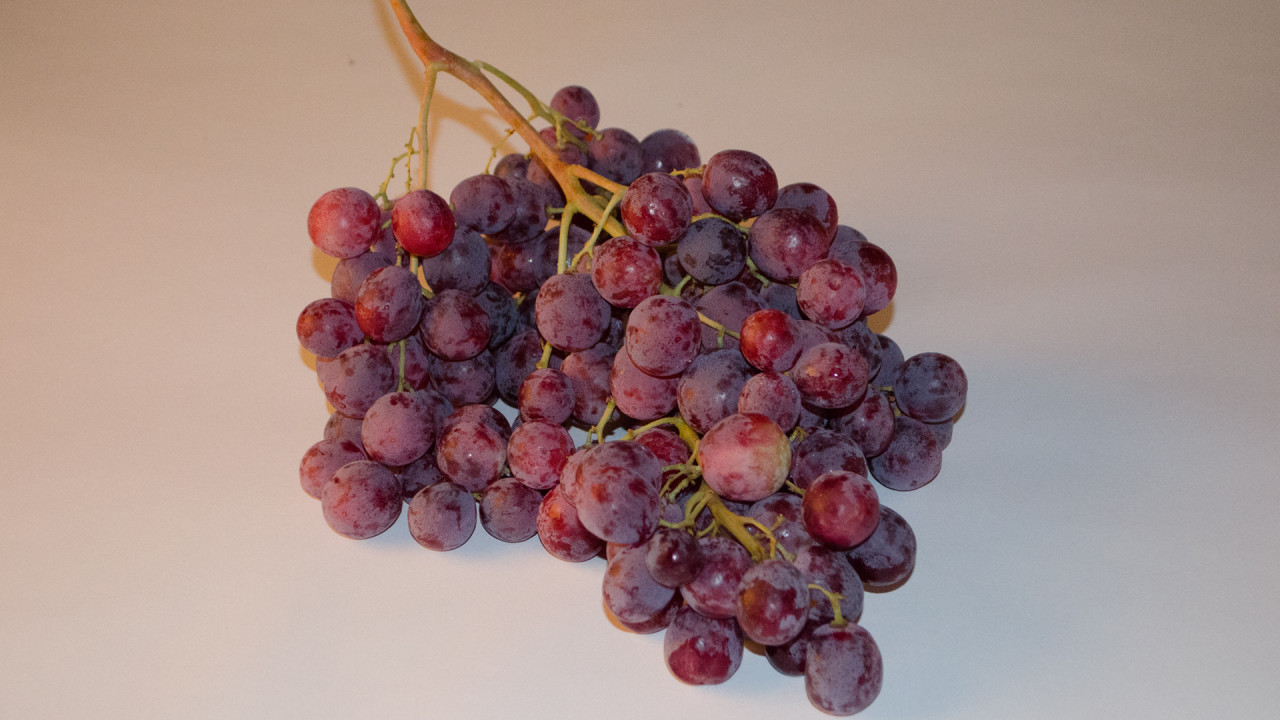 Trauben blau rot kernlos-Kiste | SW12857